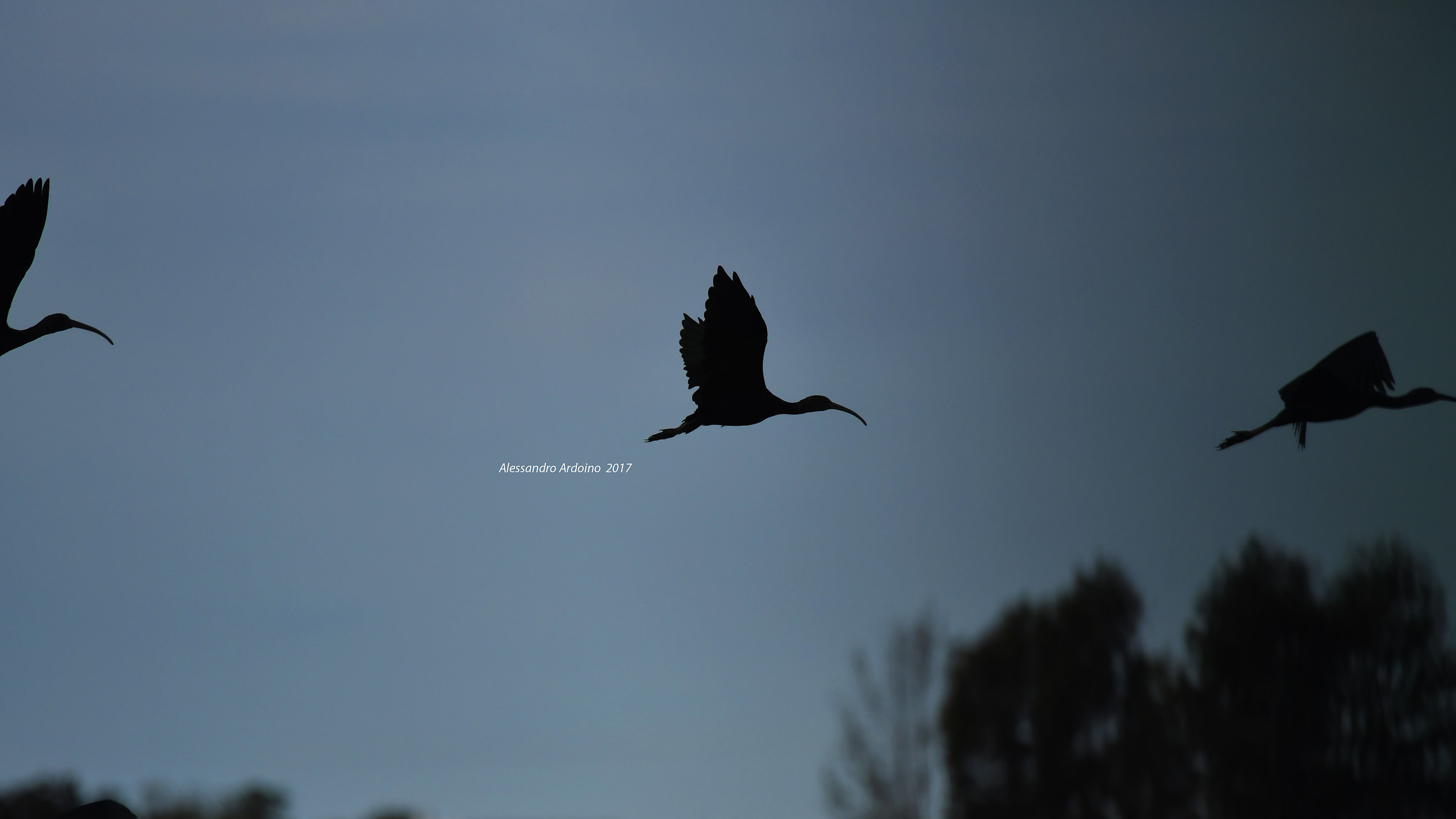 There are those who come here who goes ...