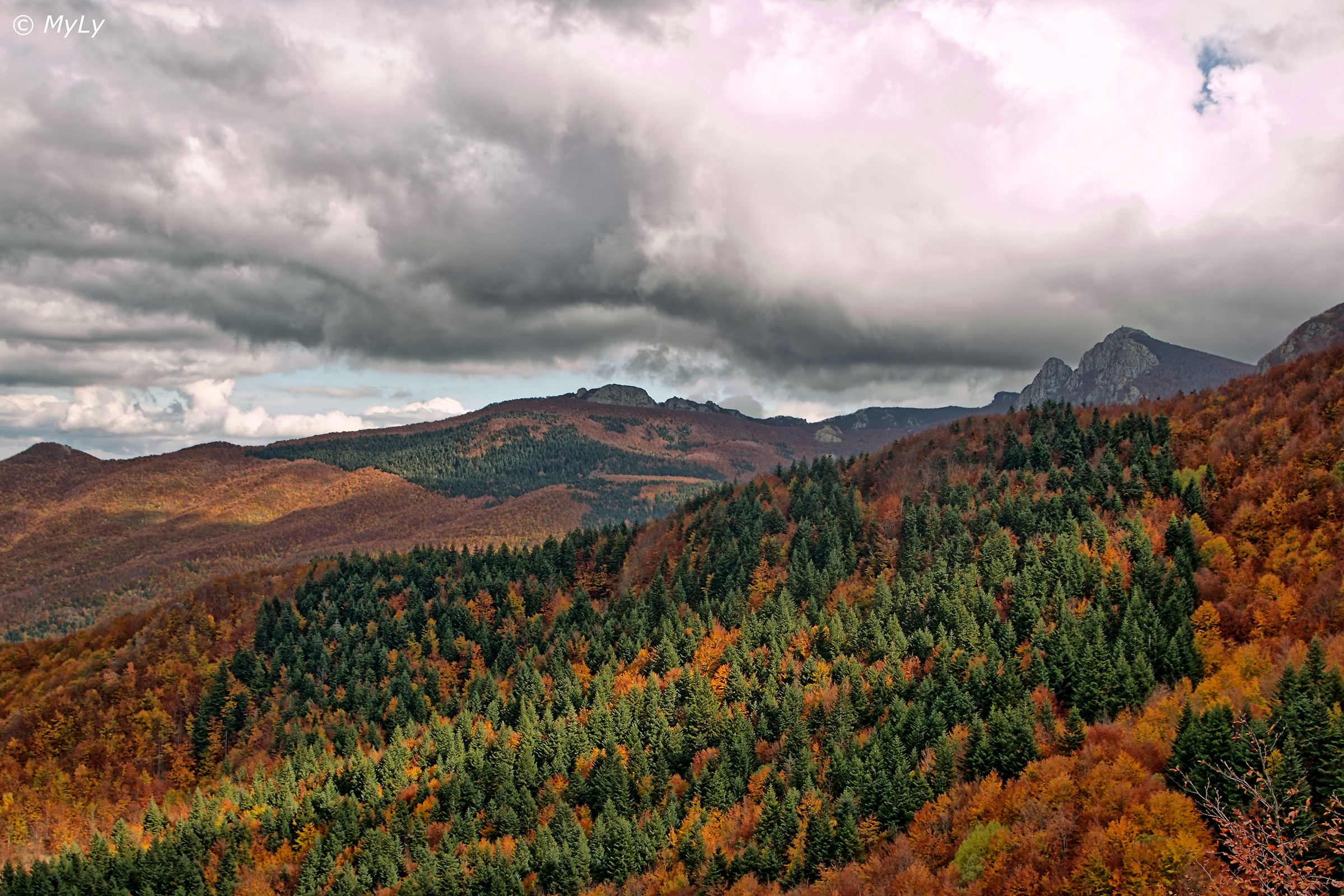Tutti i colori dell'autunno