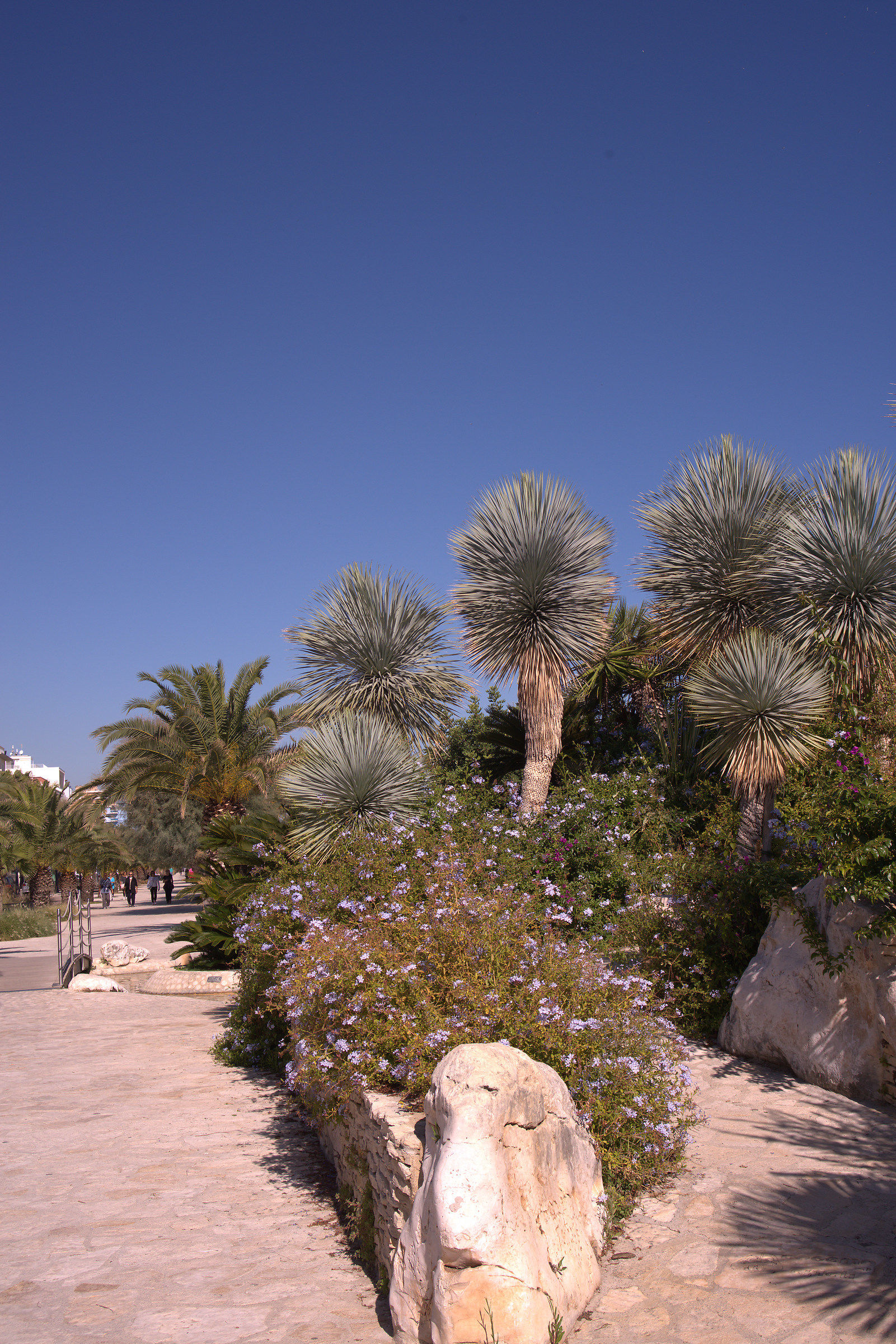 San Benedetto del Tronto