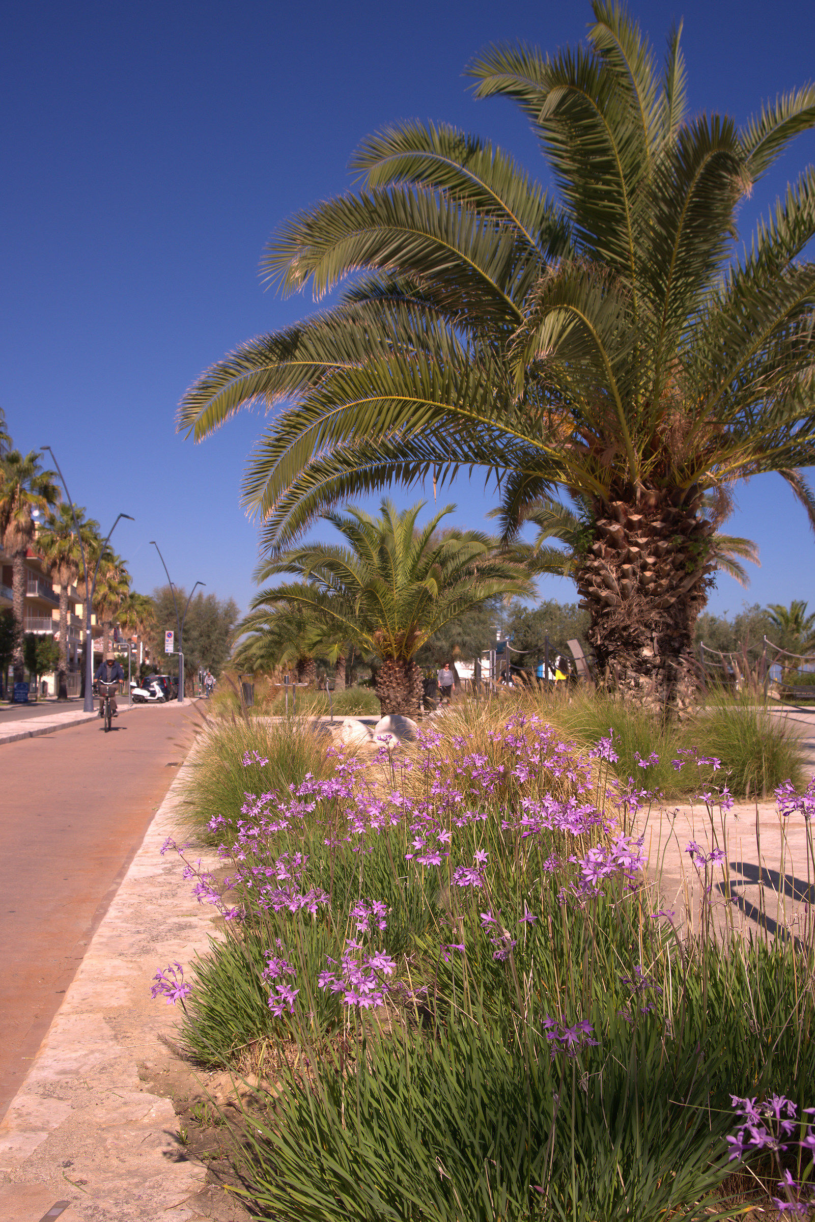 San Benedetto del Tronto