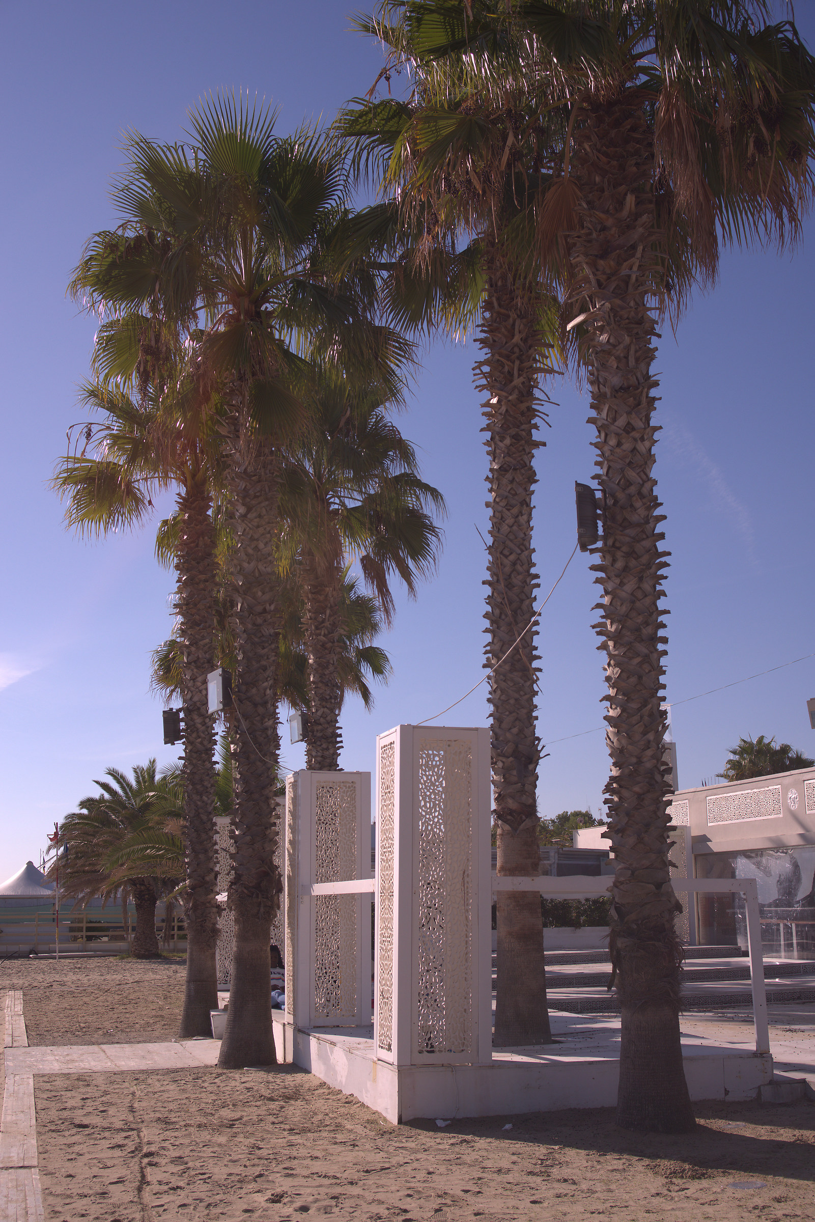 Medusa, San Benedetto del Tronto