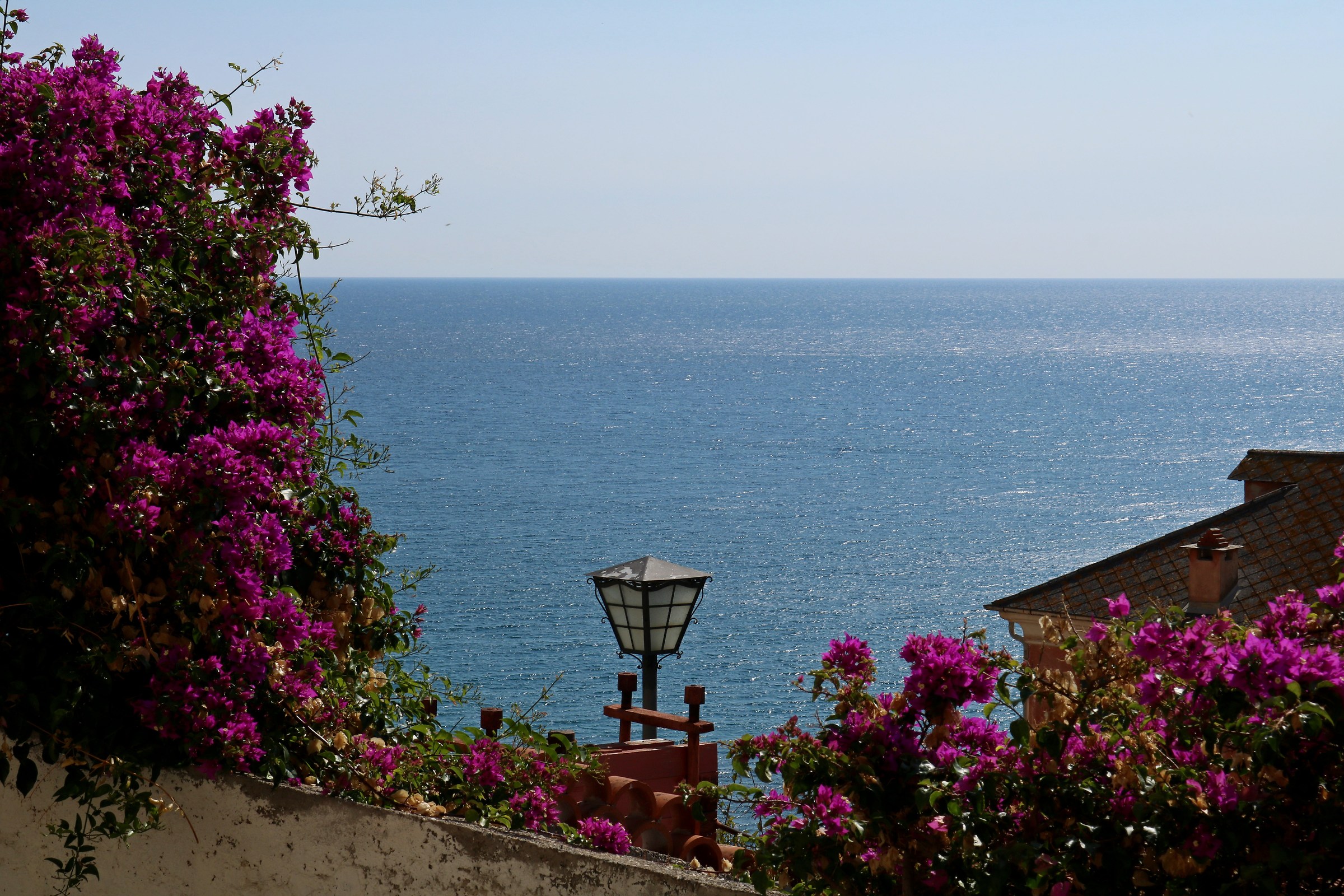 Guardando verso l'orizzonte