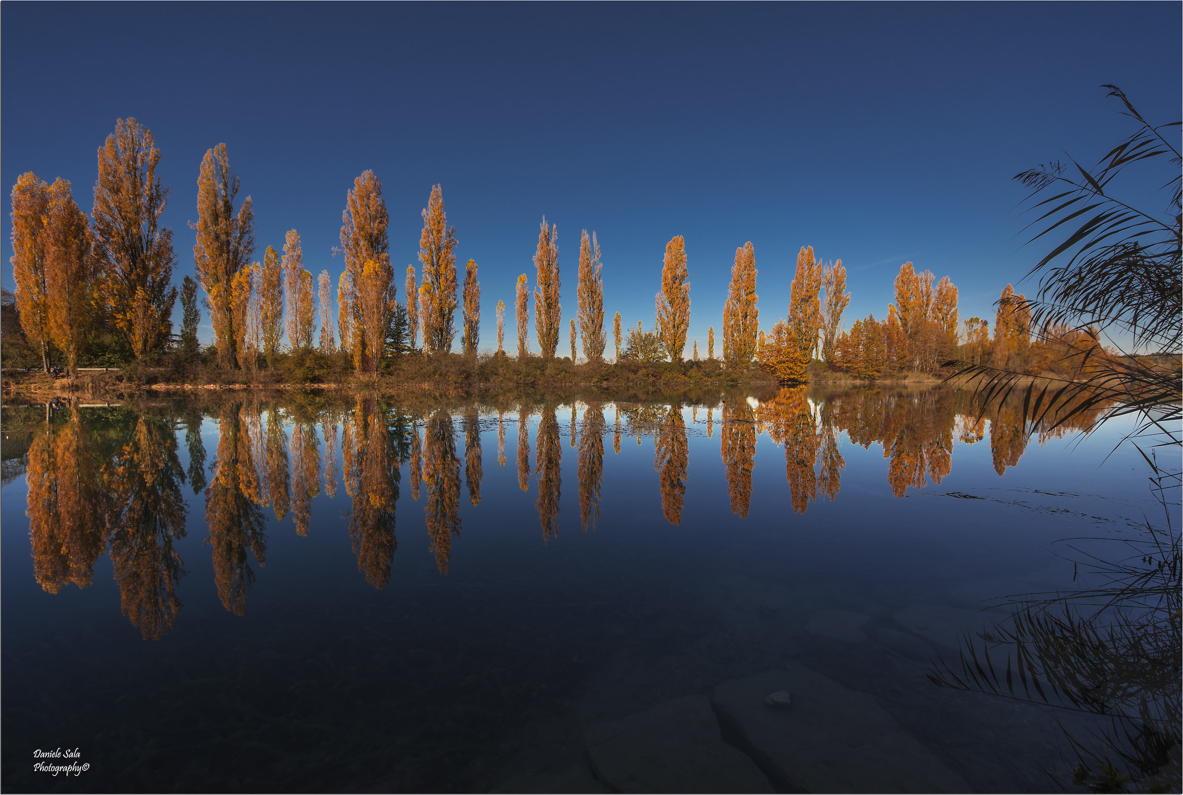 Autumn on the Mincio Park ..