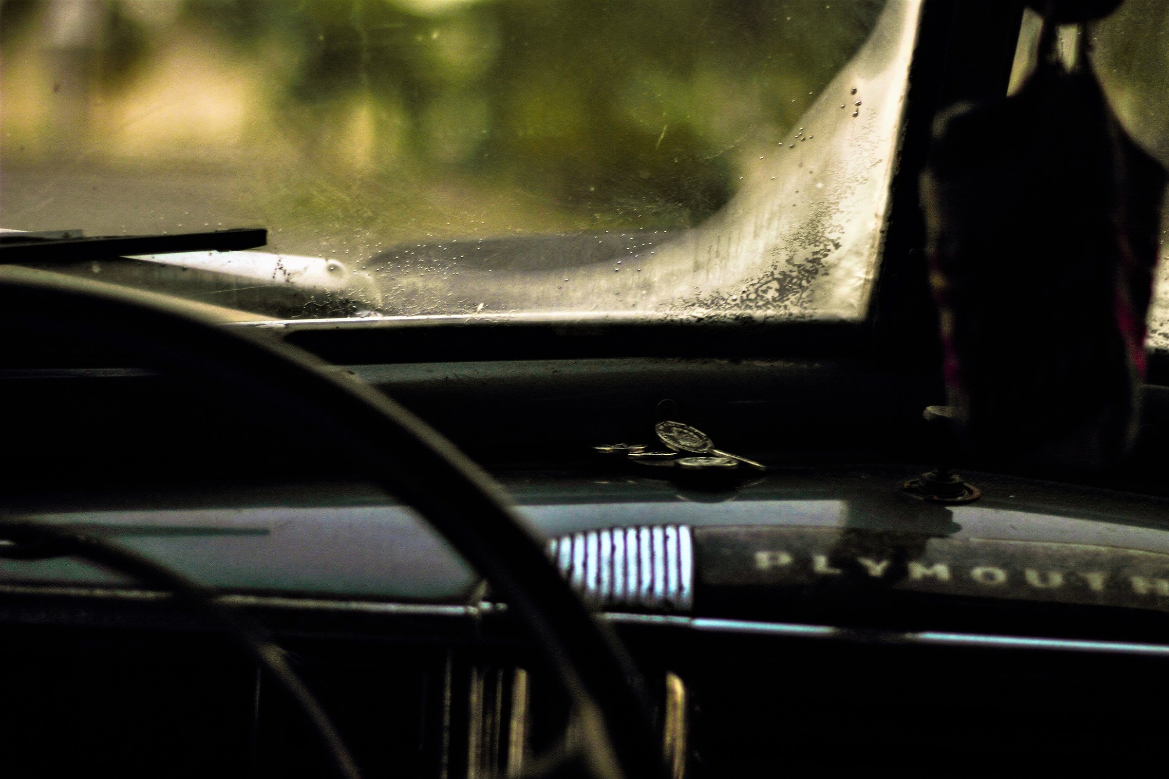 en el almendron de roberto