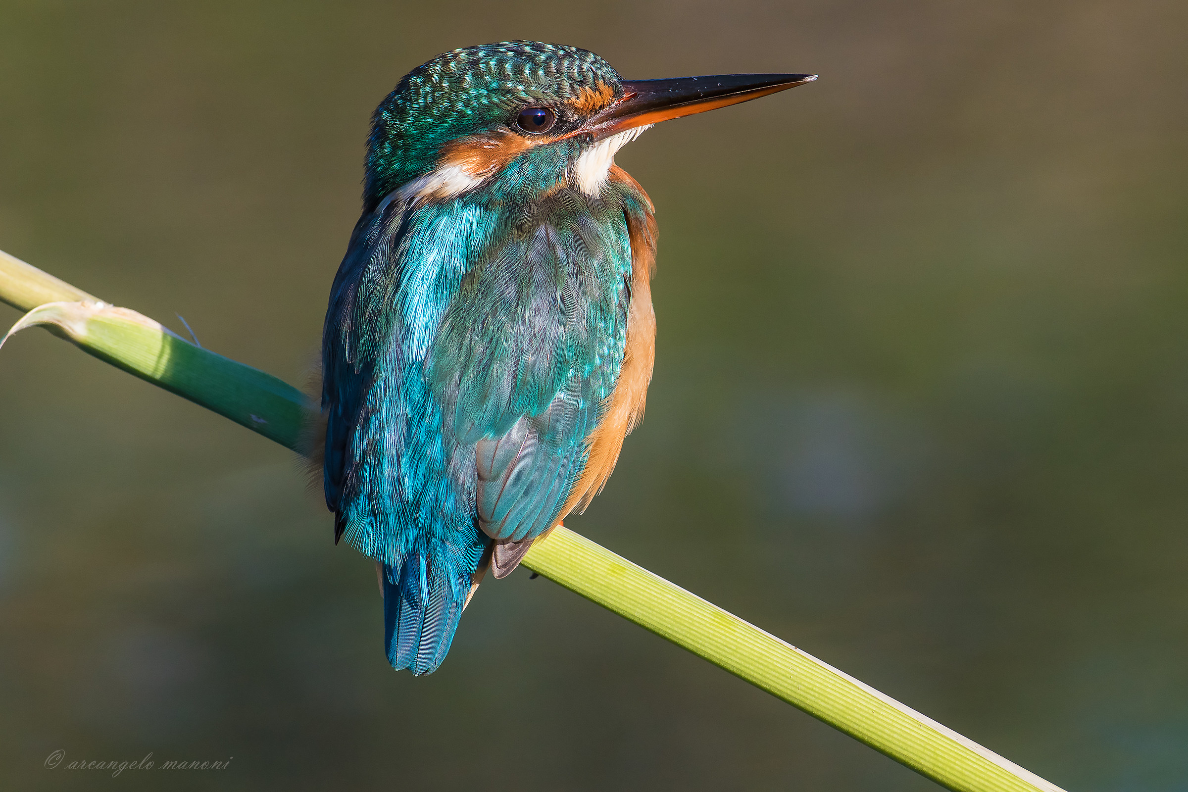 At the first sun in the morning