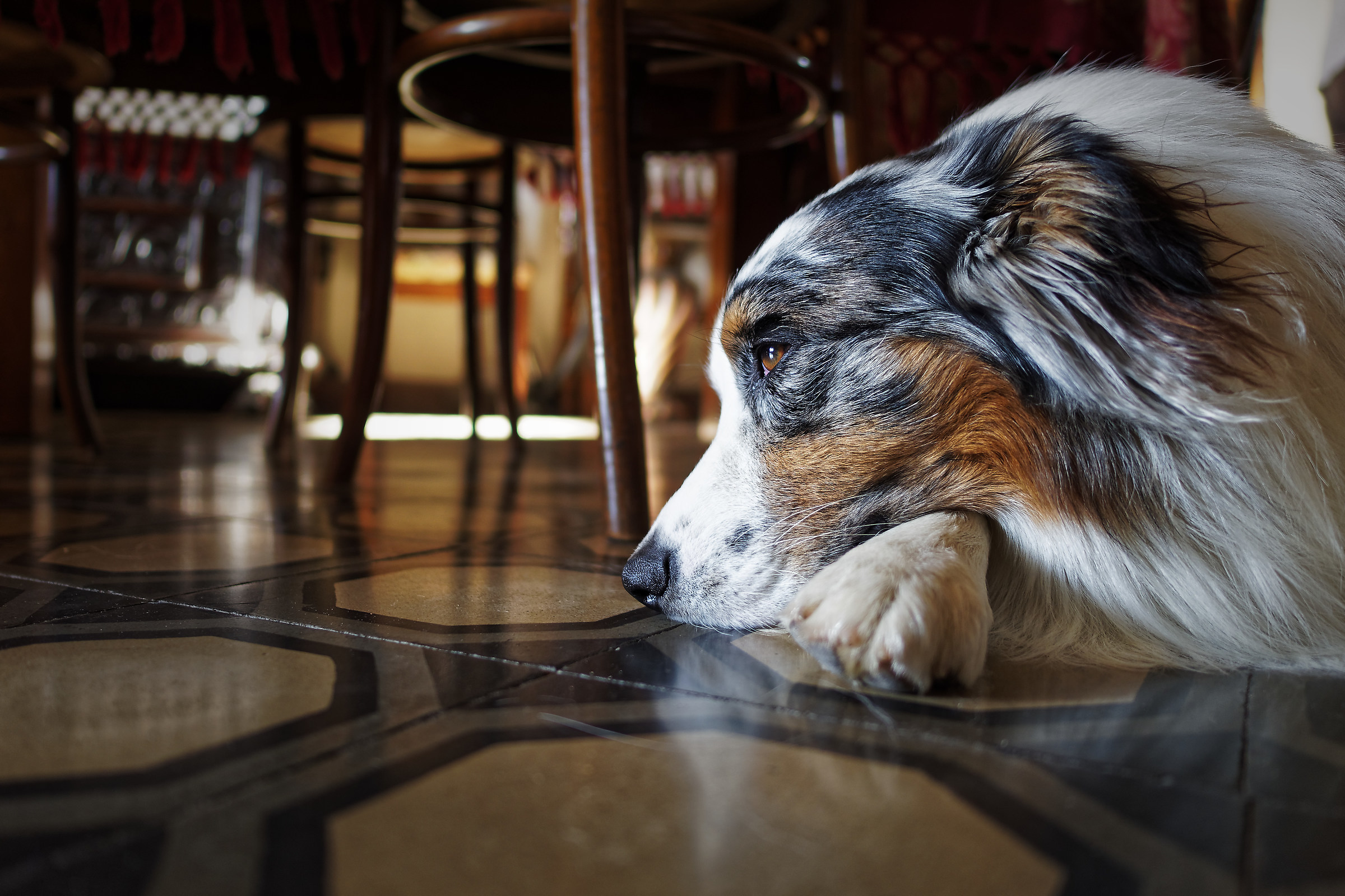 Aspettandoti a casa...