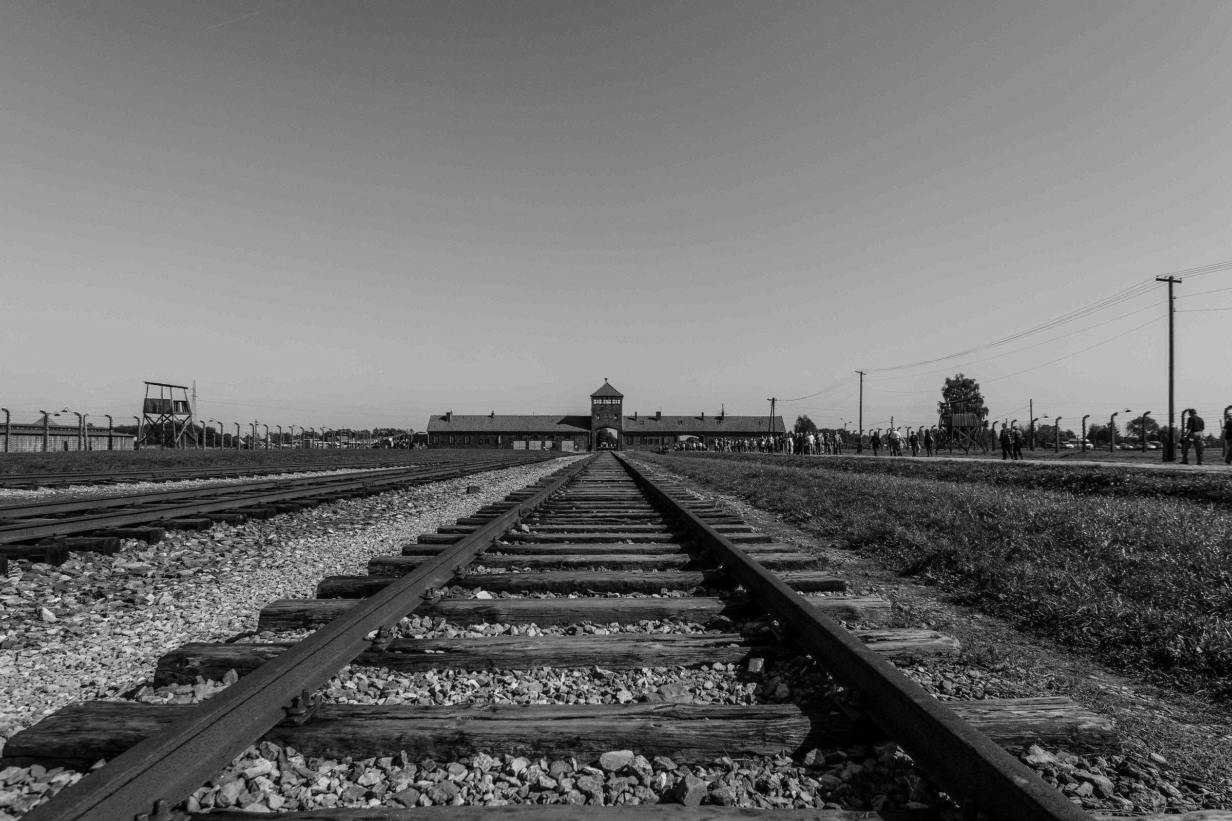 Nightmare (Birkenau)