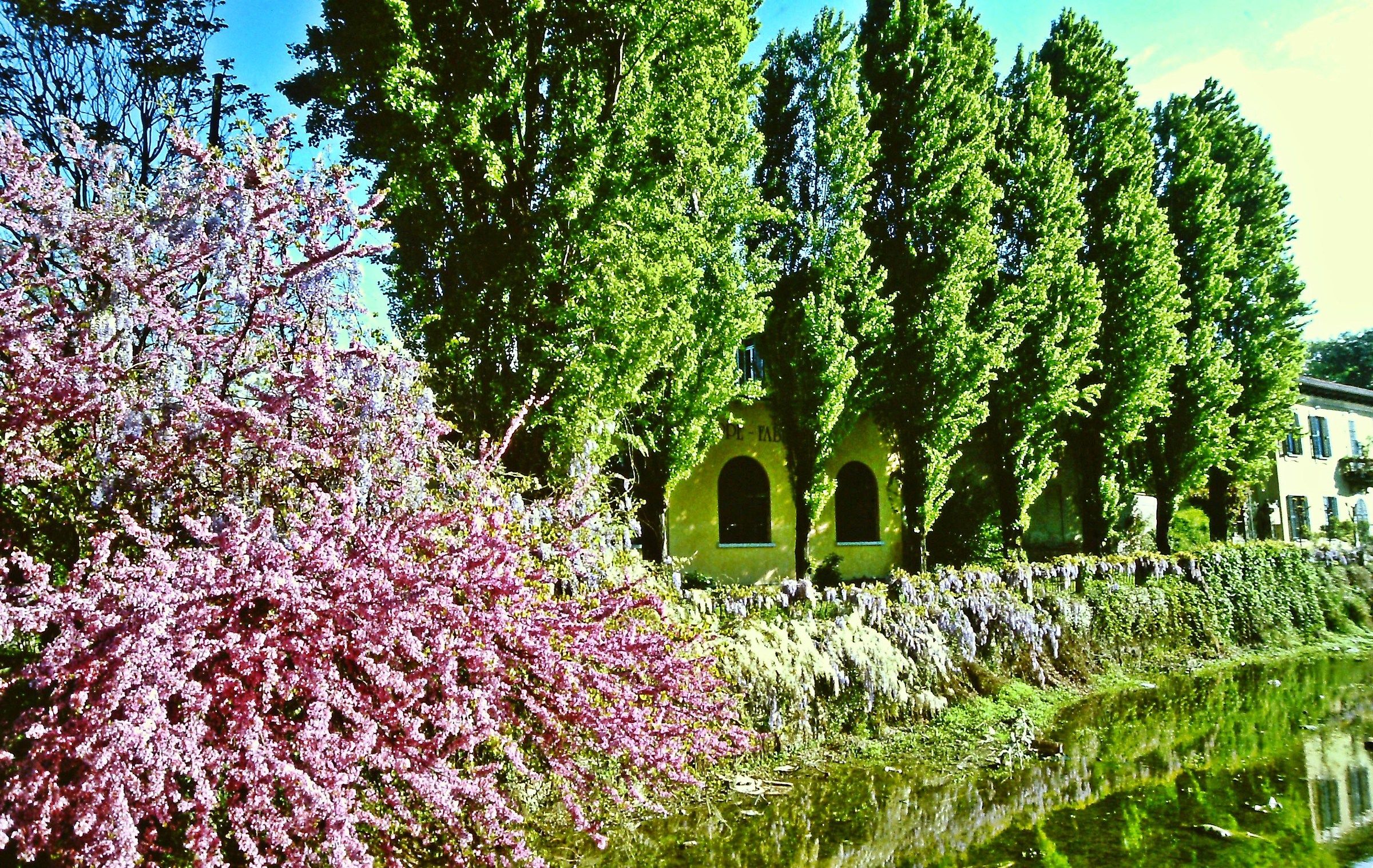 554 - incredibile, del romanticismo a Milano !!