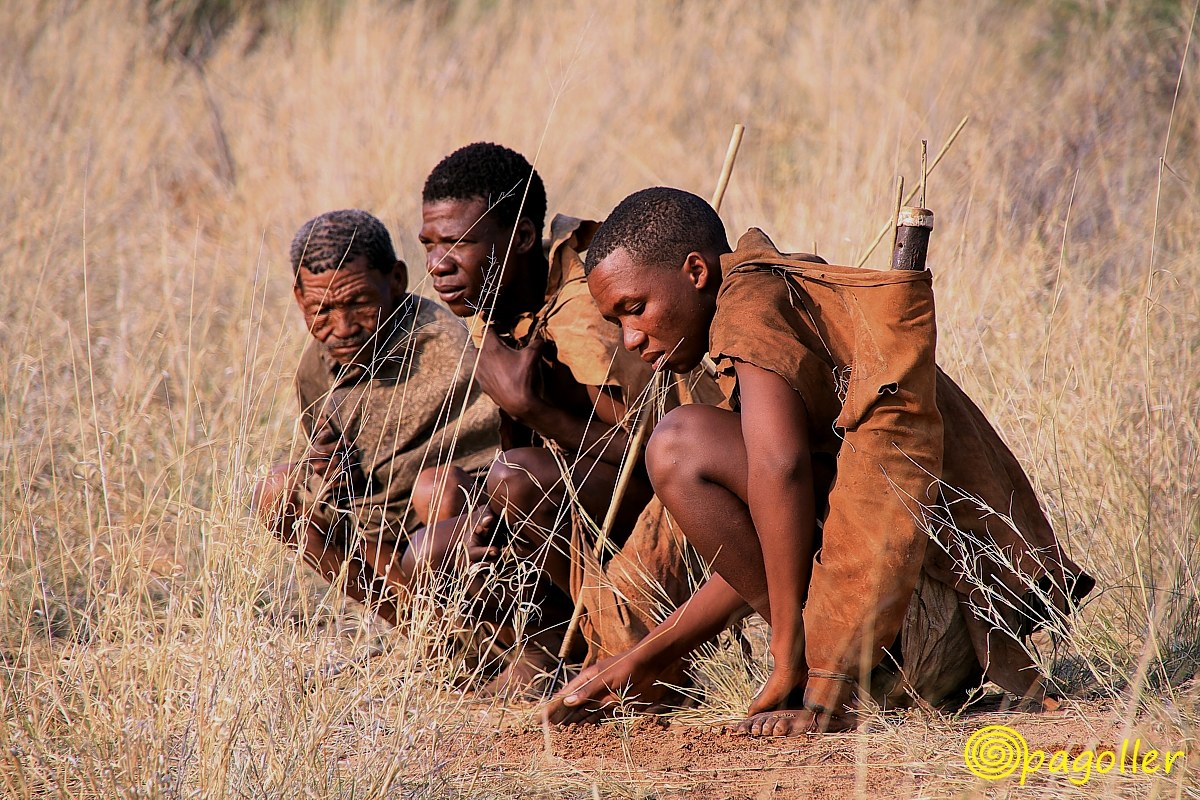 Bushmen ready for hunting