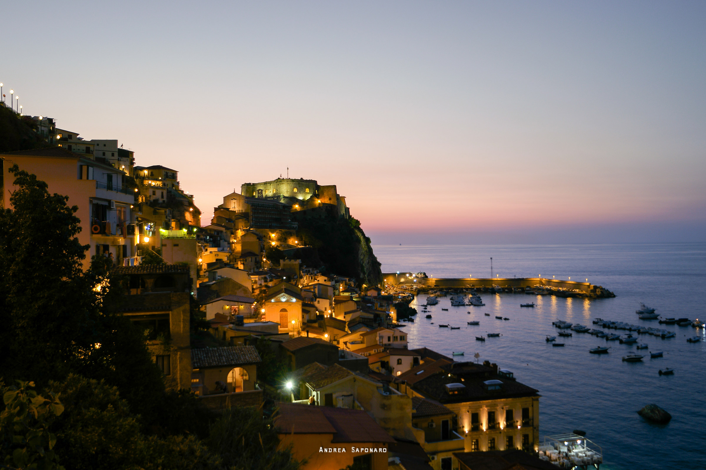 Scilla in the evening