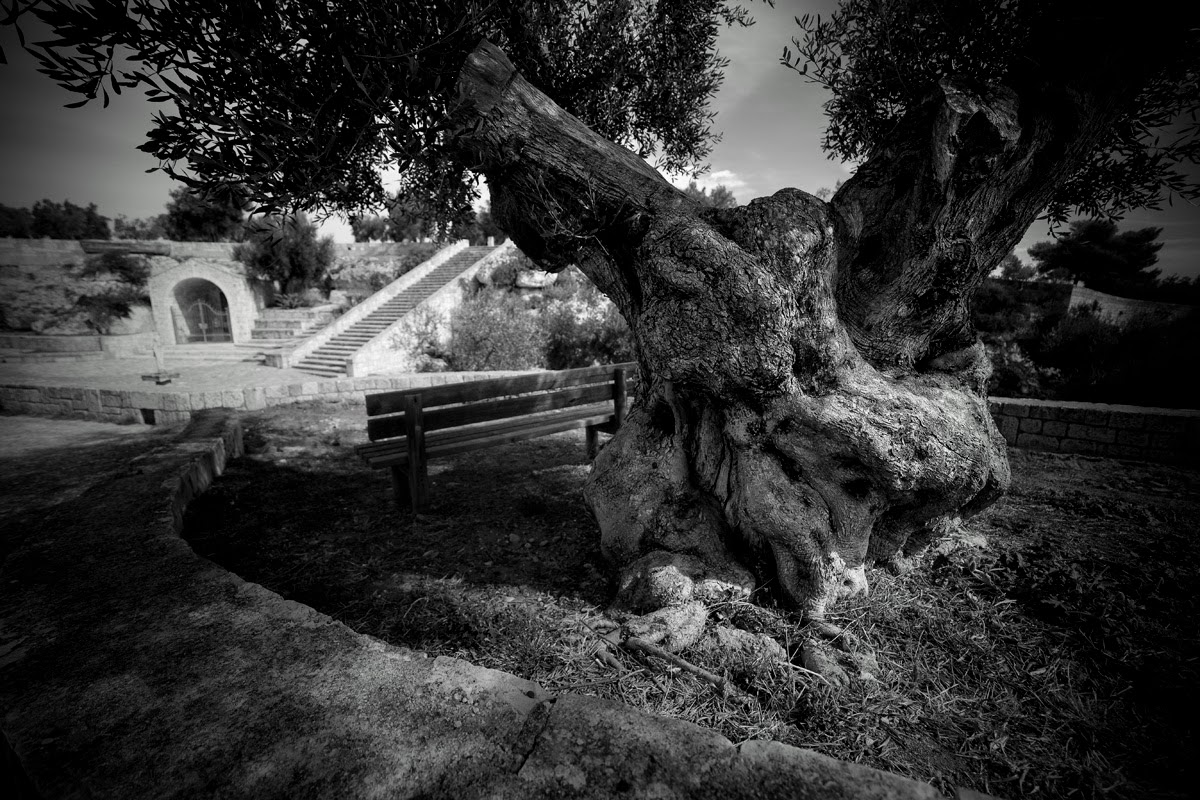 The caretaker of the little church