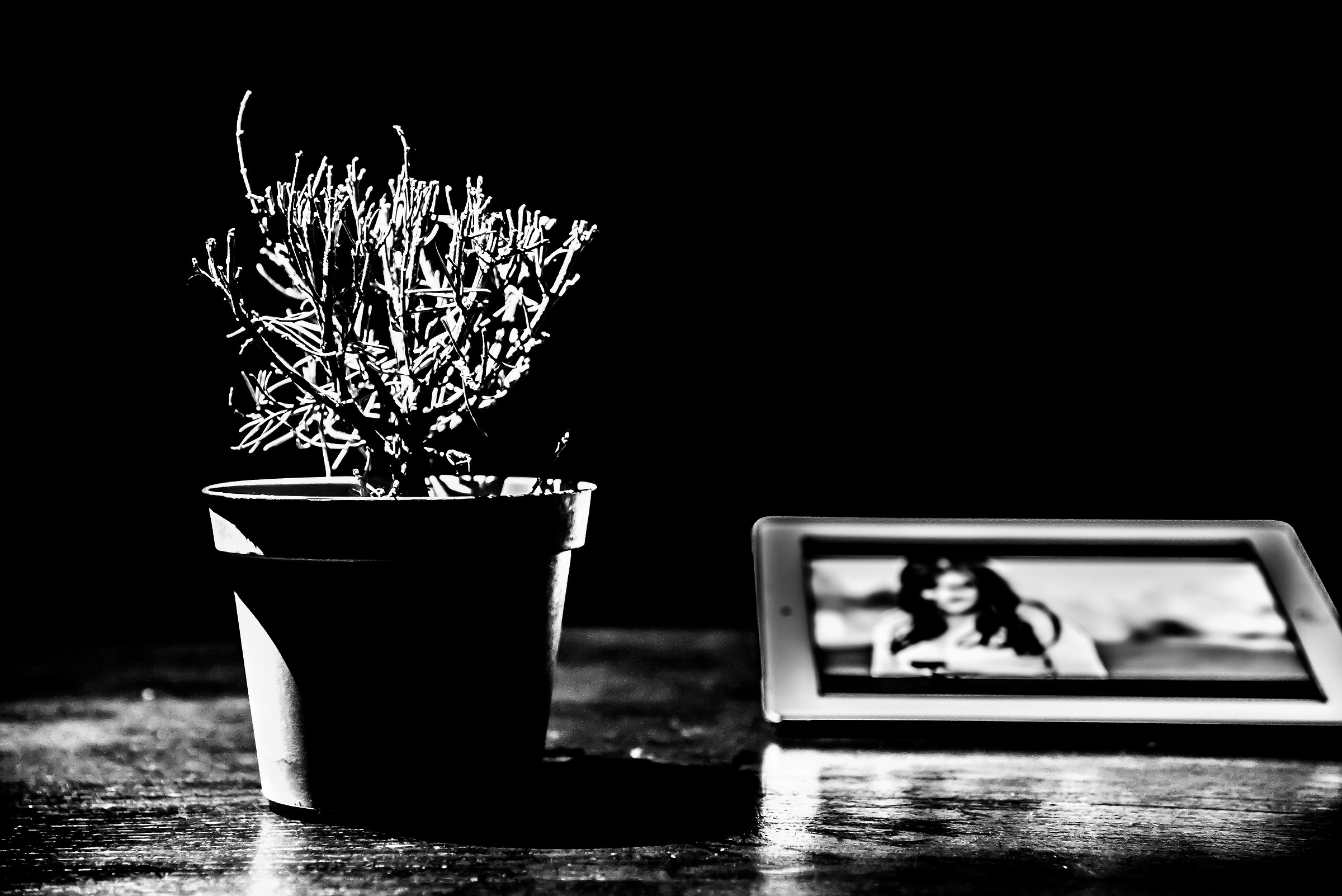 Gli anziani del futuro