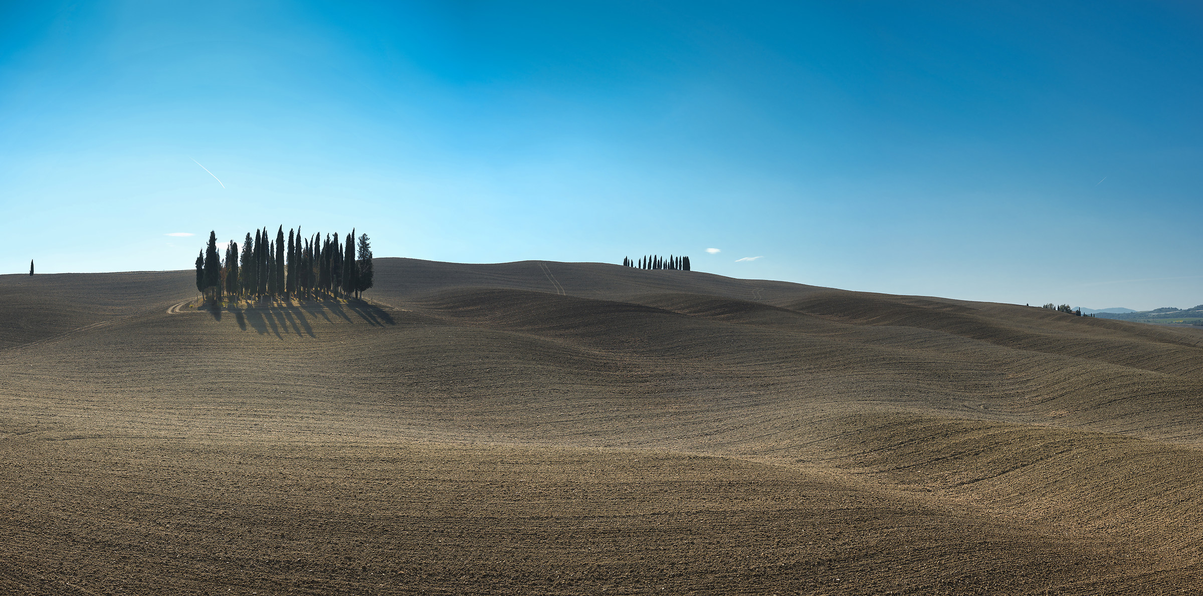 Cipressi di San Quirico