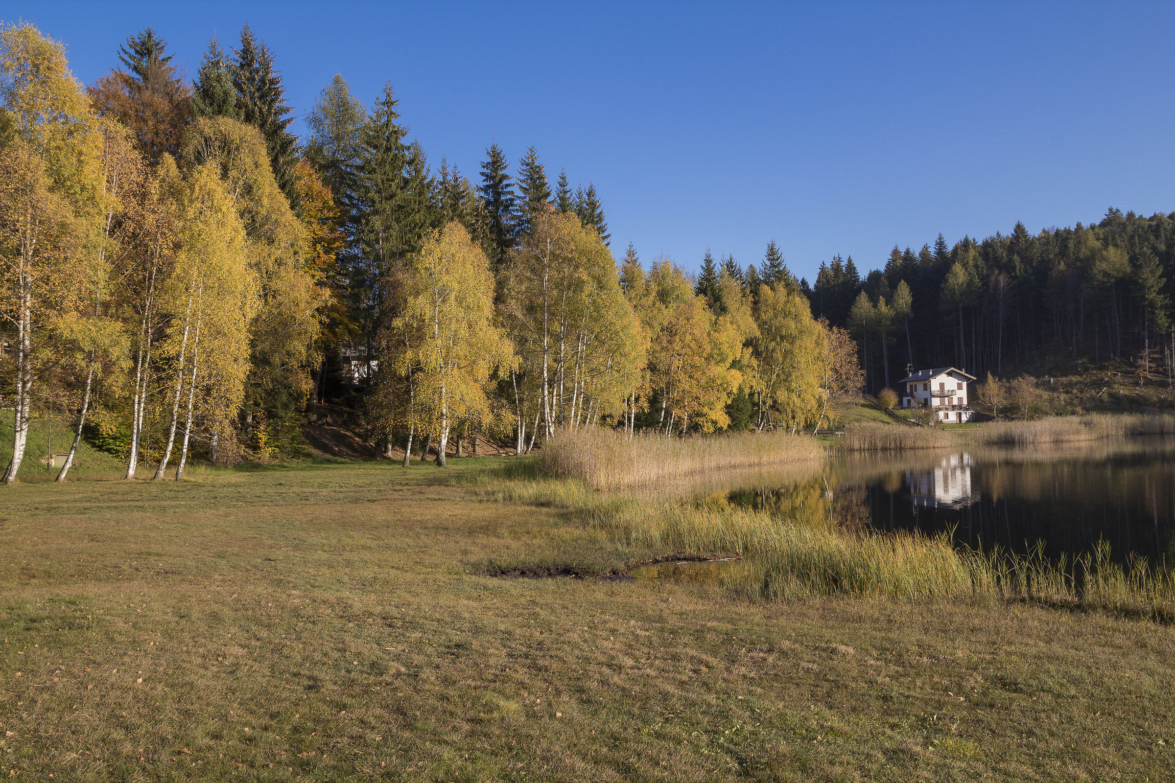 The house in the fall