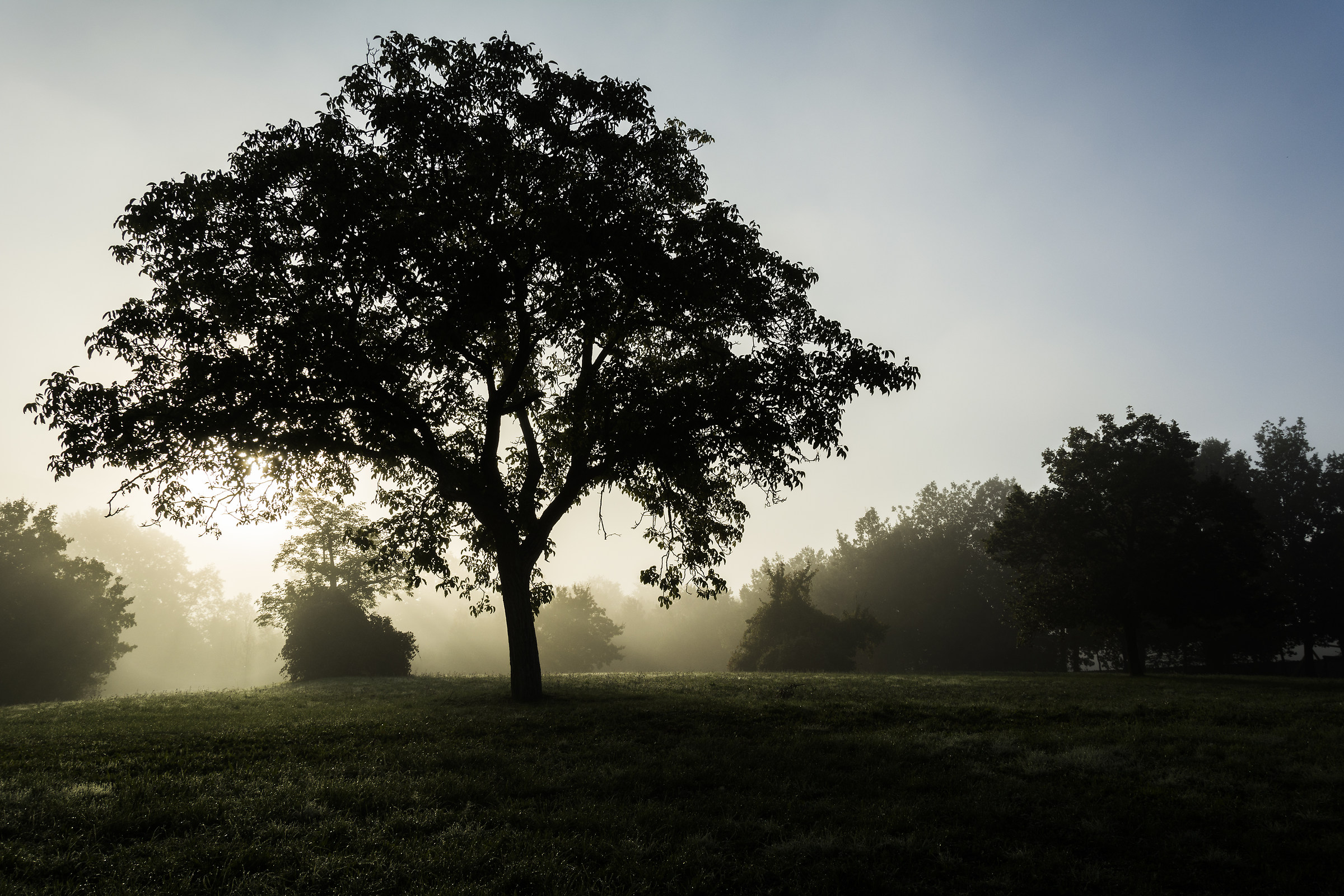Morning fog at the boat