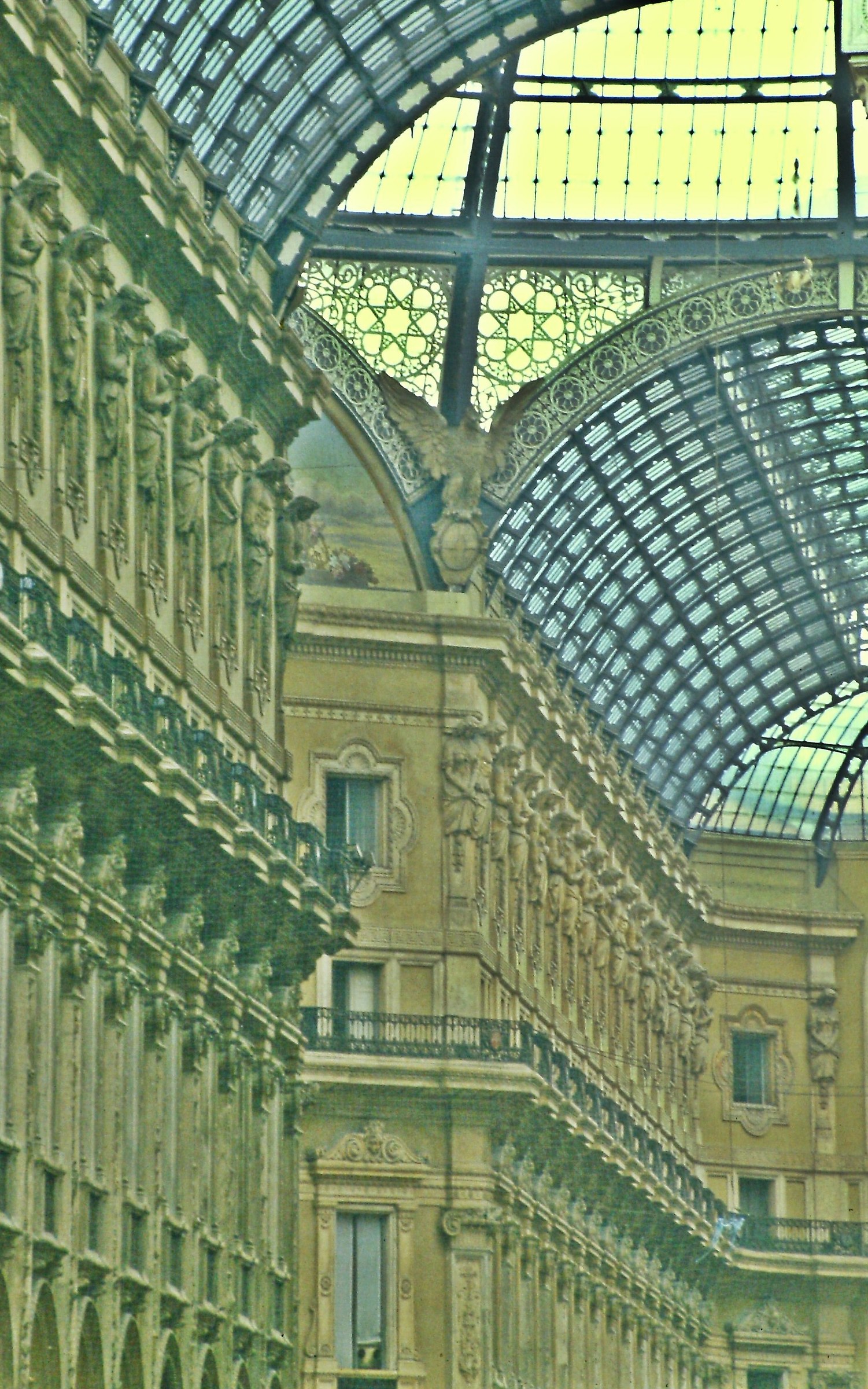 589 - troppa gloria - MI Milano