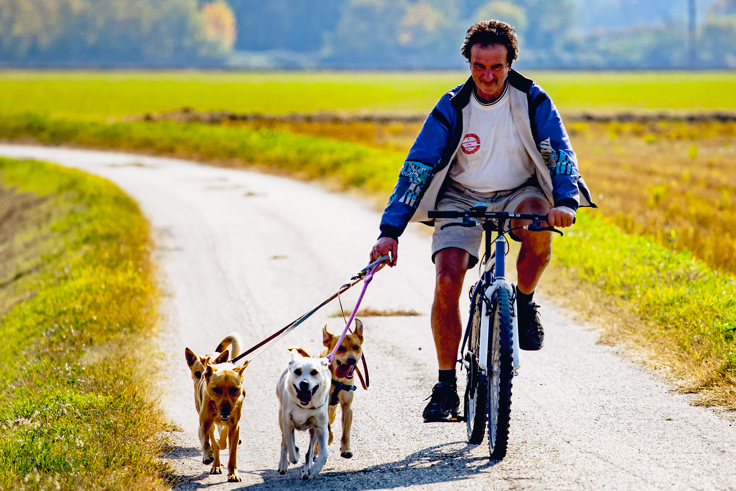 If you do not have the sled do this !!!!!!!!!!!!!!