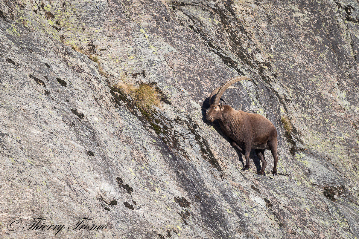 finalmente insieme...