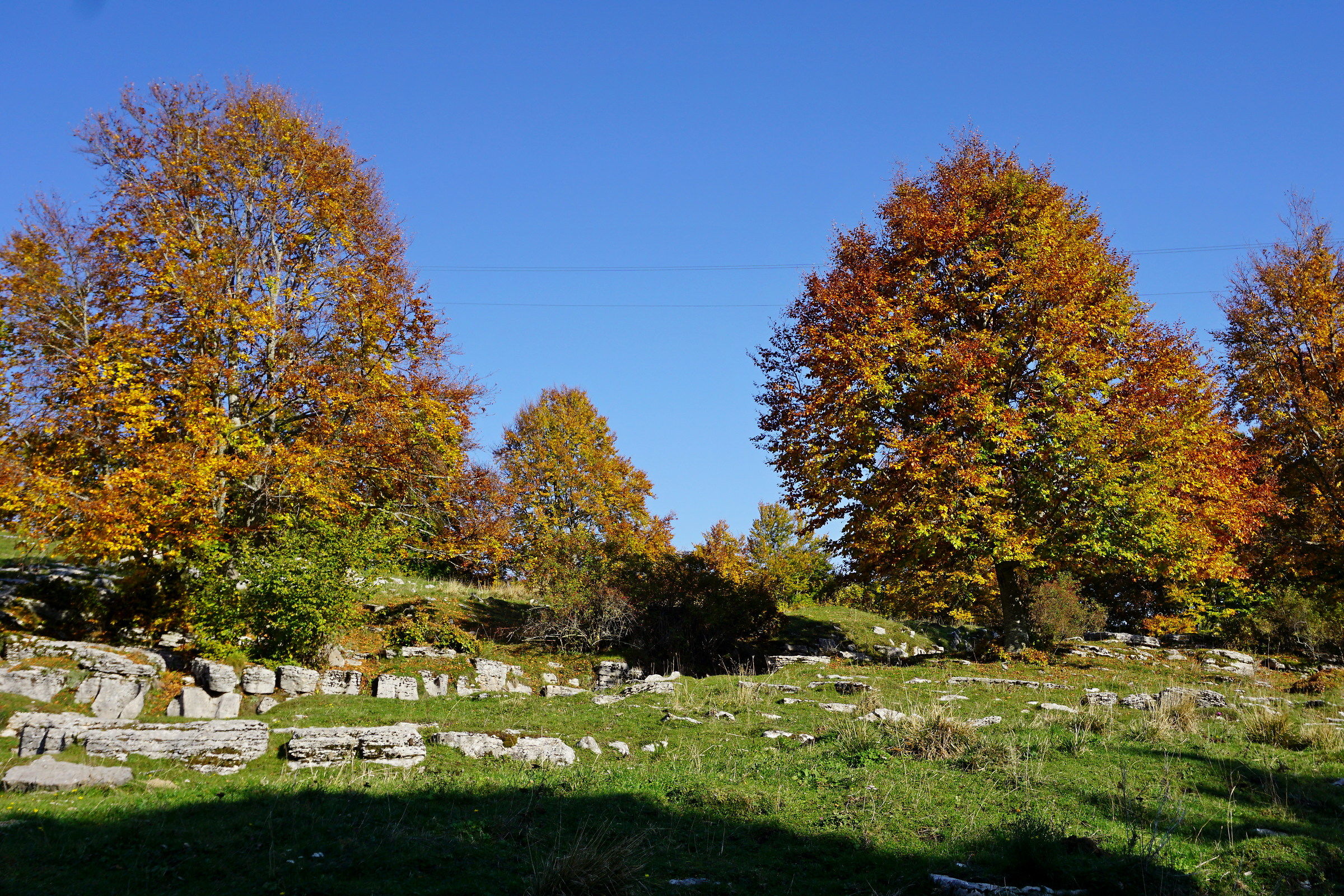 Towards Branchetto 2