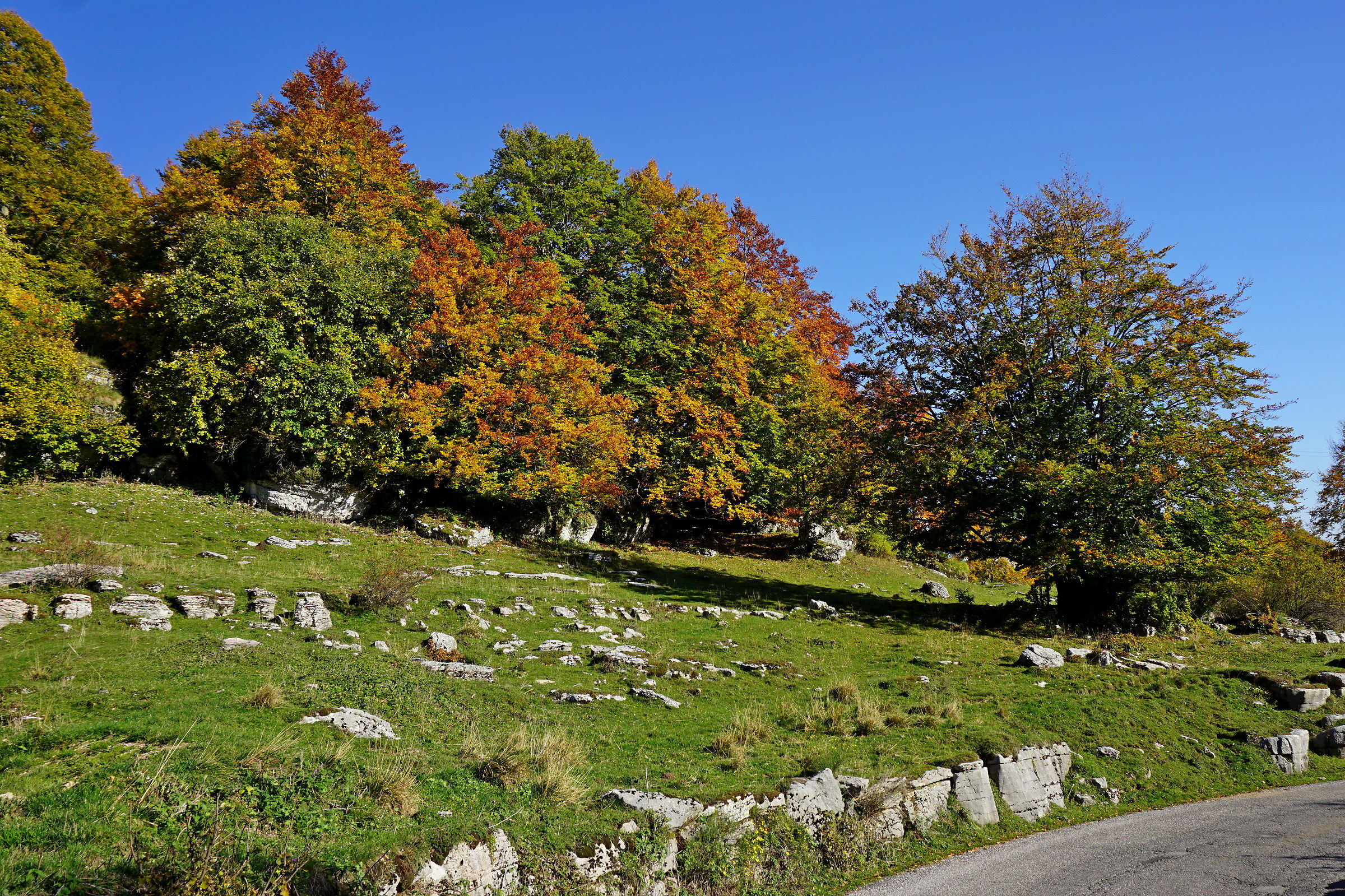 Towards Branchetto 3