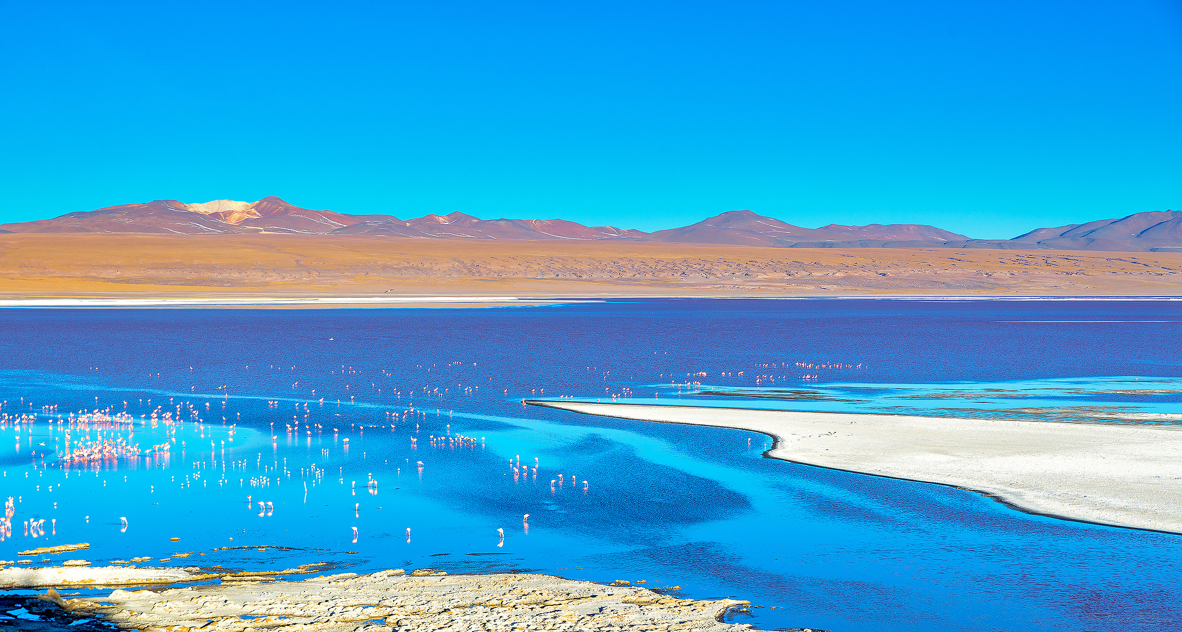 Laguna Colorada