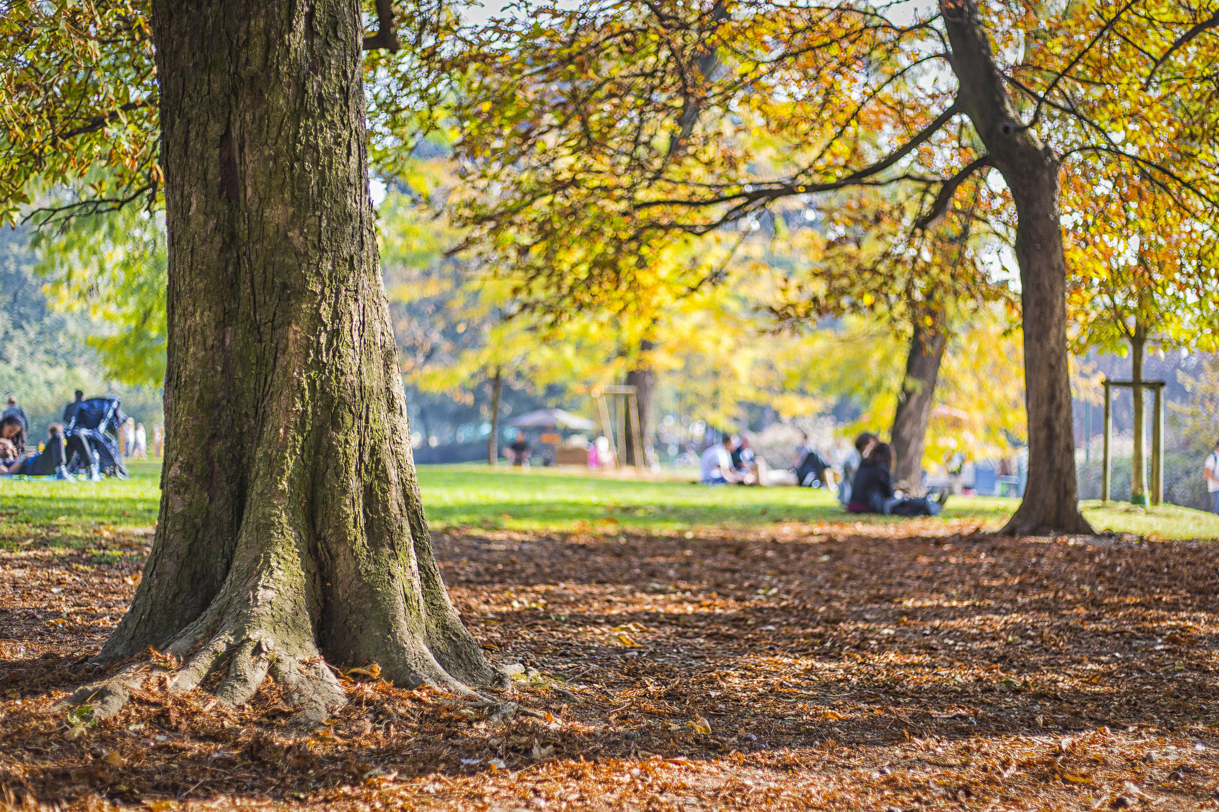 Parco sempione in Autunno
