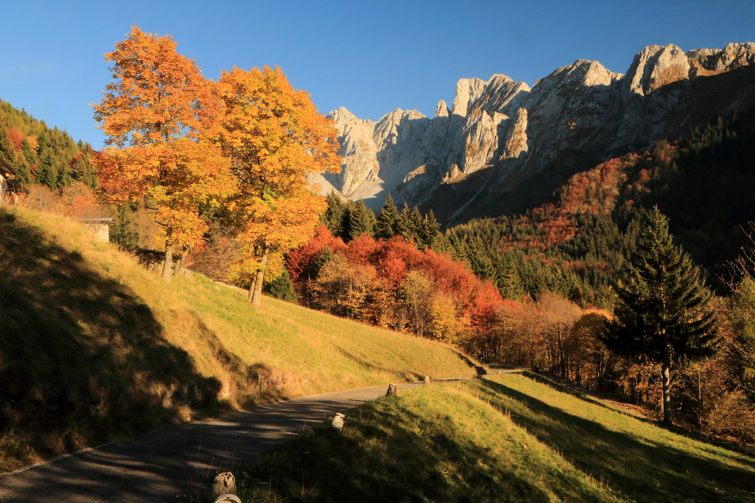 W l'autunno "orobico"