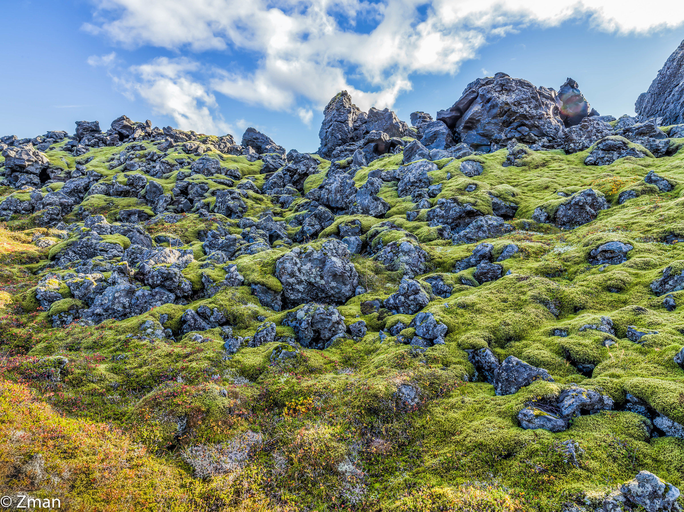 lavafield di Snaefellsnes