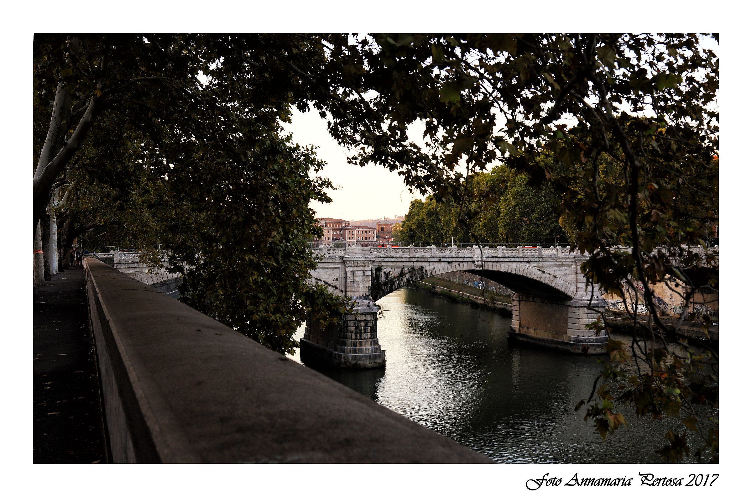 The great Tiber and its bridges
