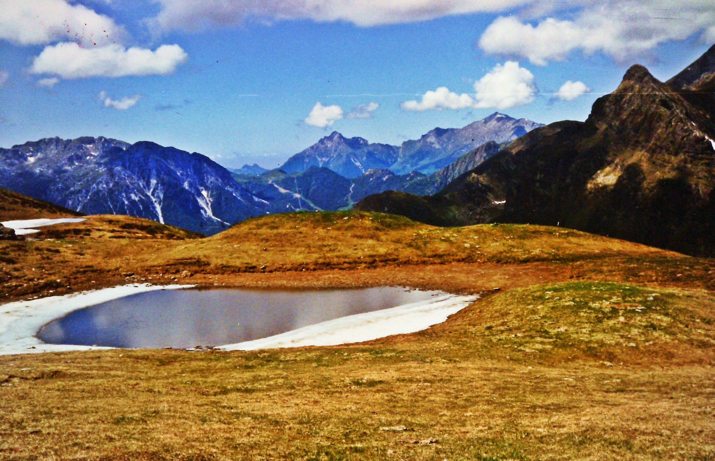 637s- the eye from the blue eyelids