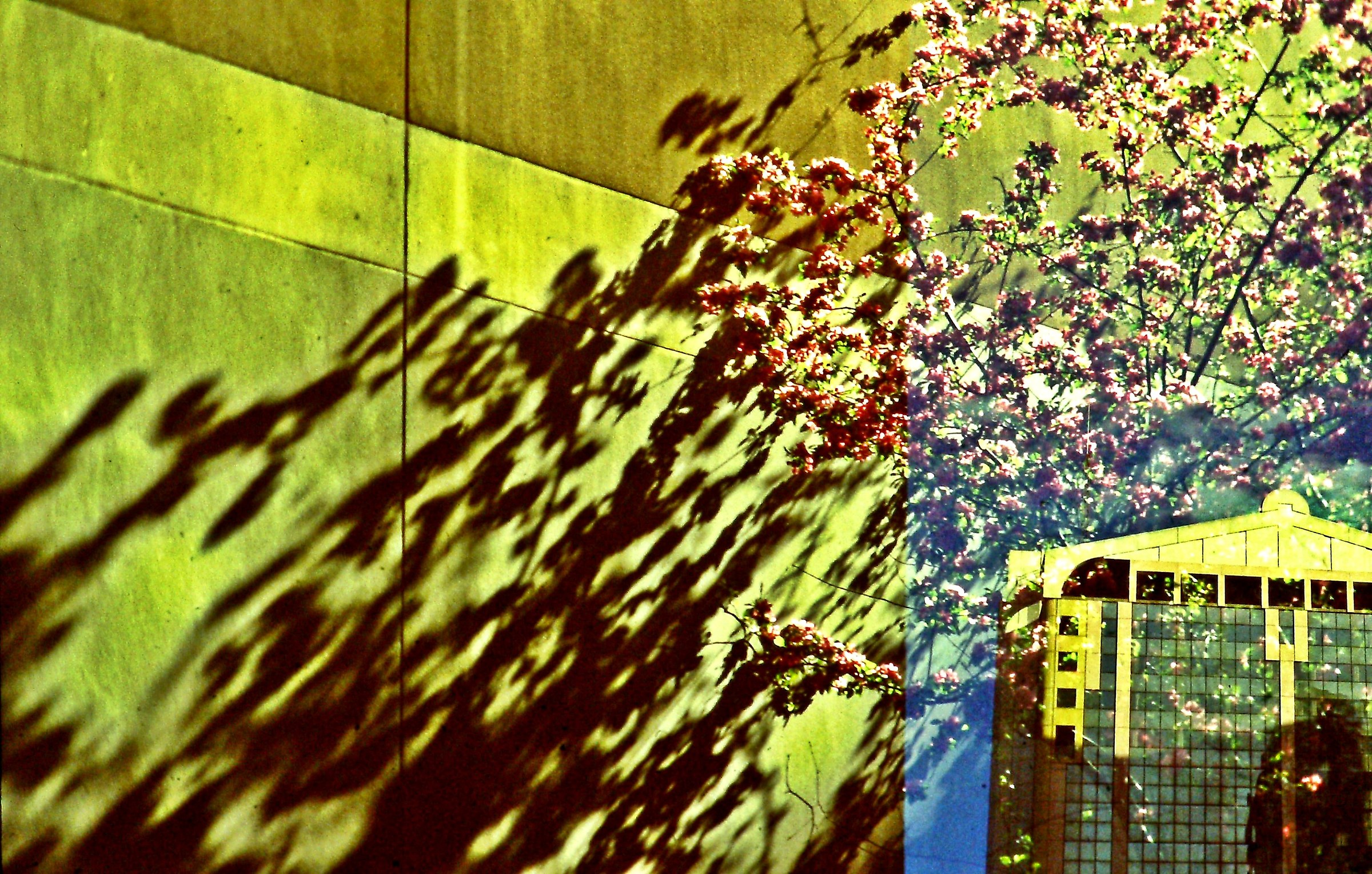 644 - shadows and fulgors - MI Milan Via Borsieri