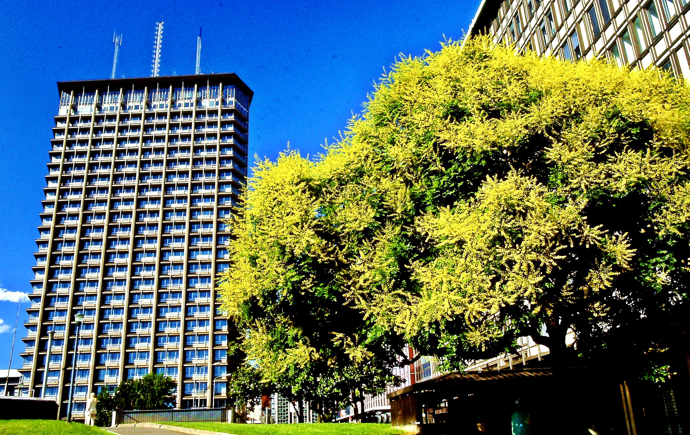 645 - sterile and fertile construction