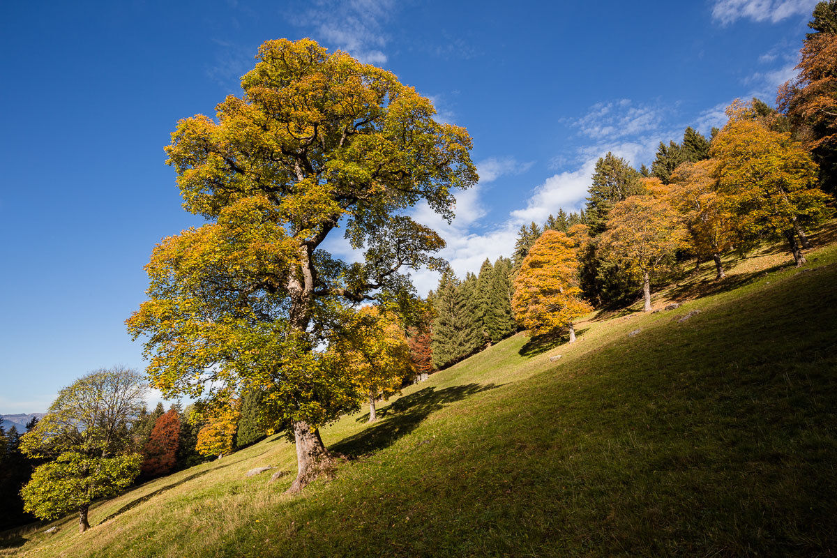 The Great Map of Scalve Valley ...