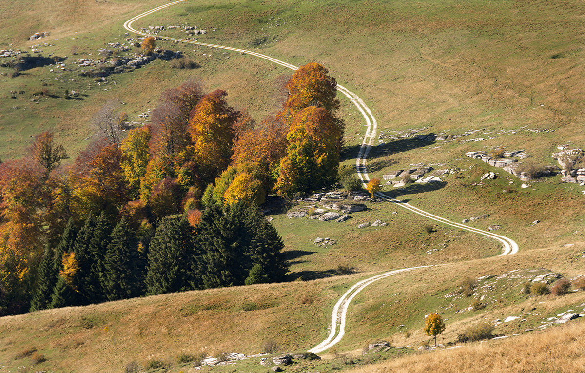 i colori dell'autunno