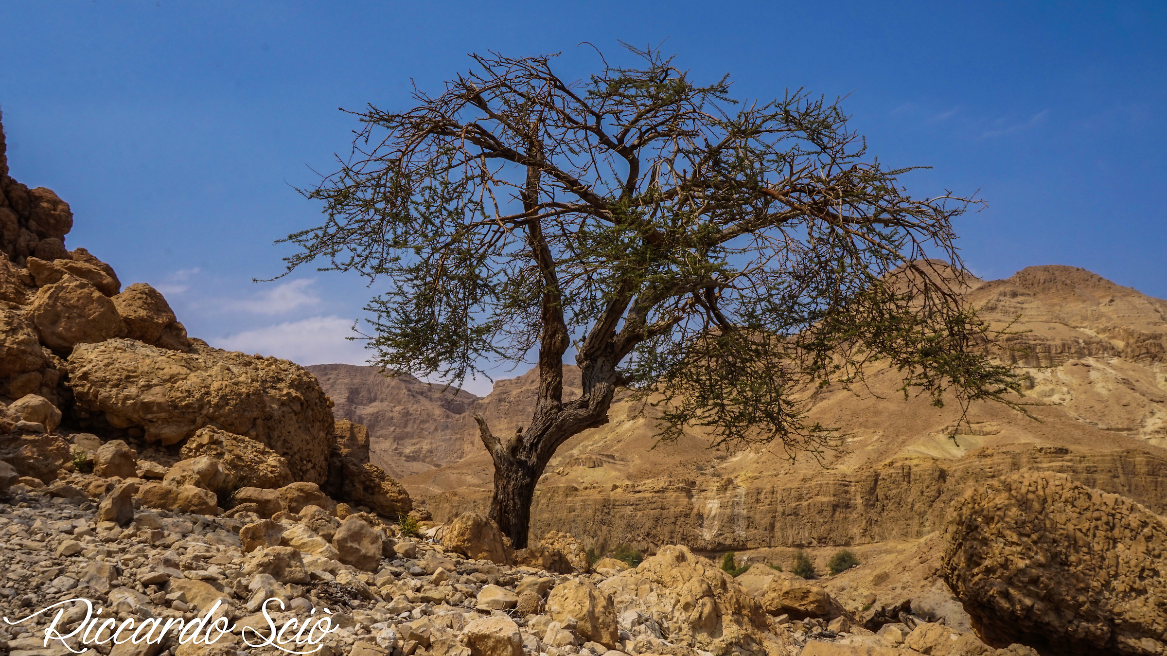 Near the Dead Sea