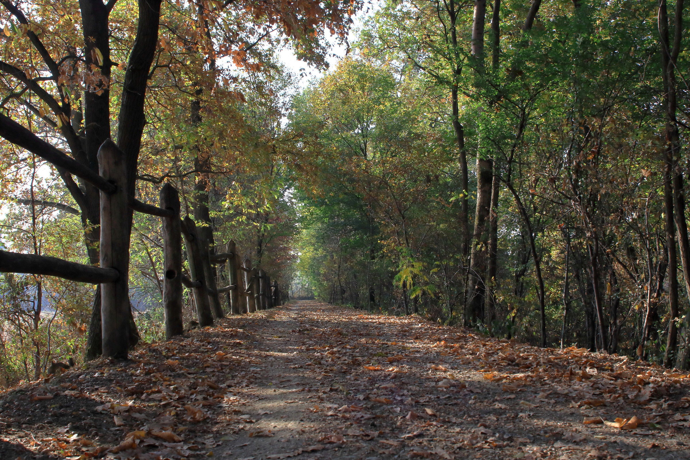 autumn desktop wallpaper