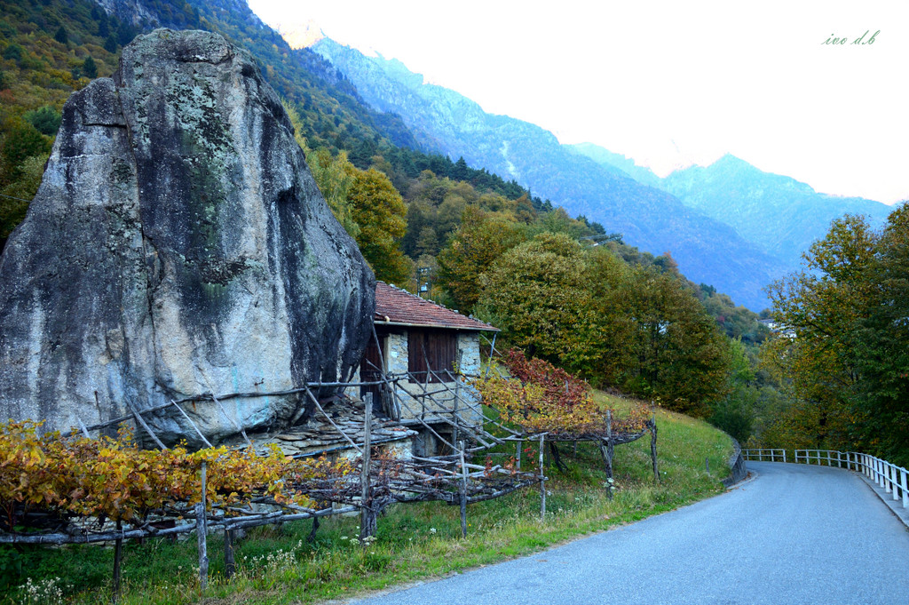 I'll protect you .....