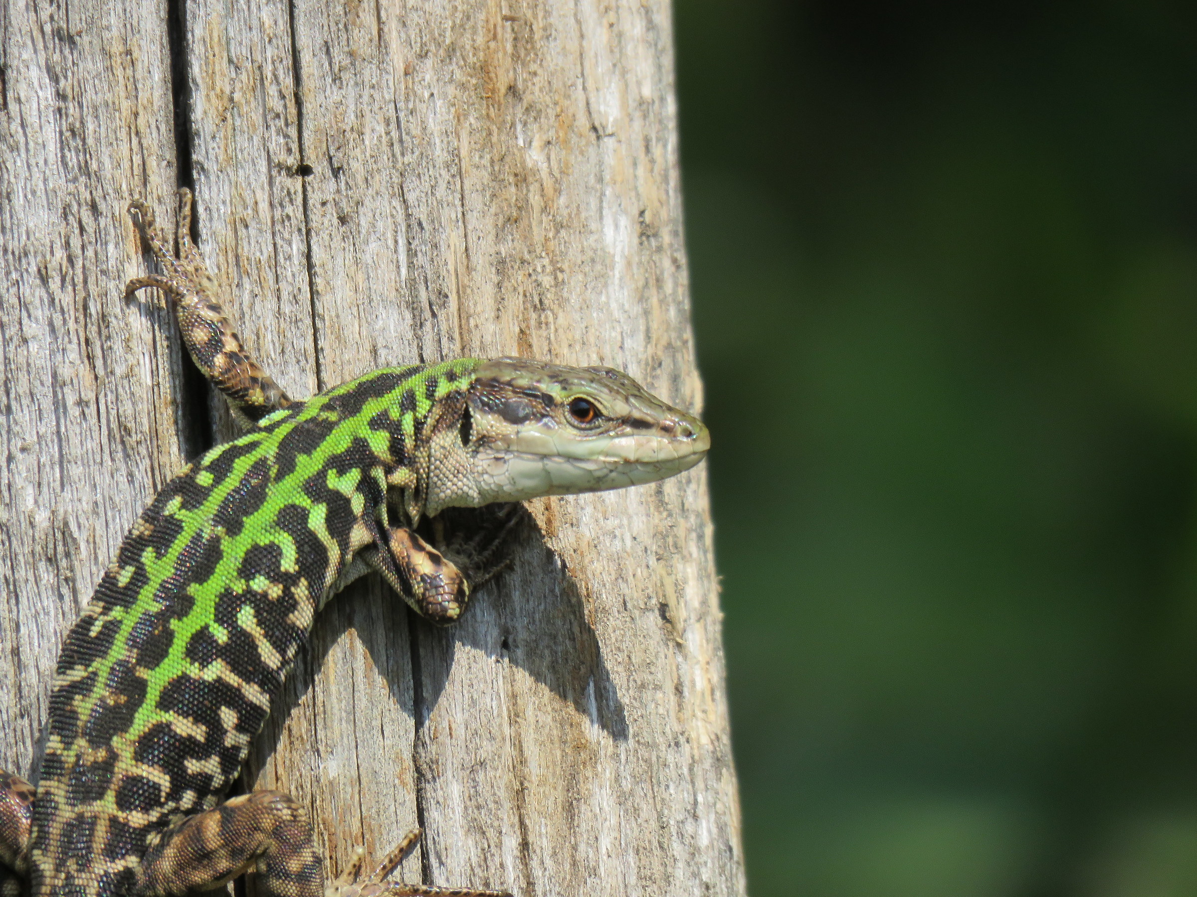 But you look at it !!!!