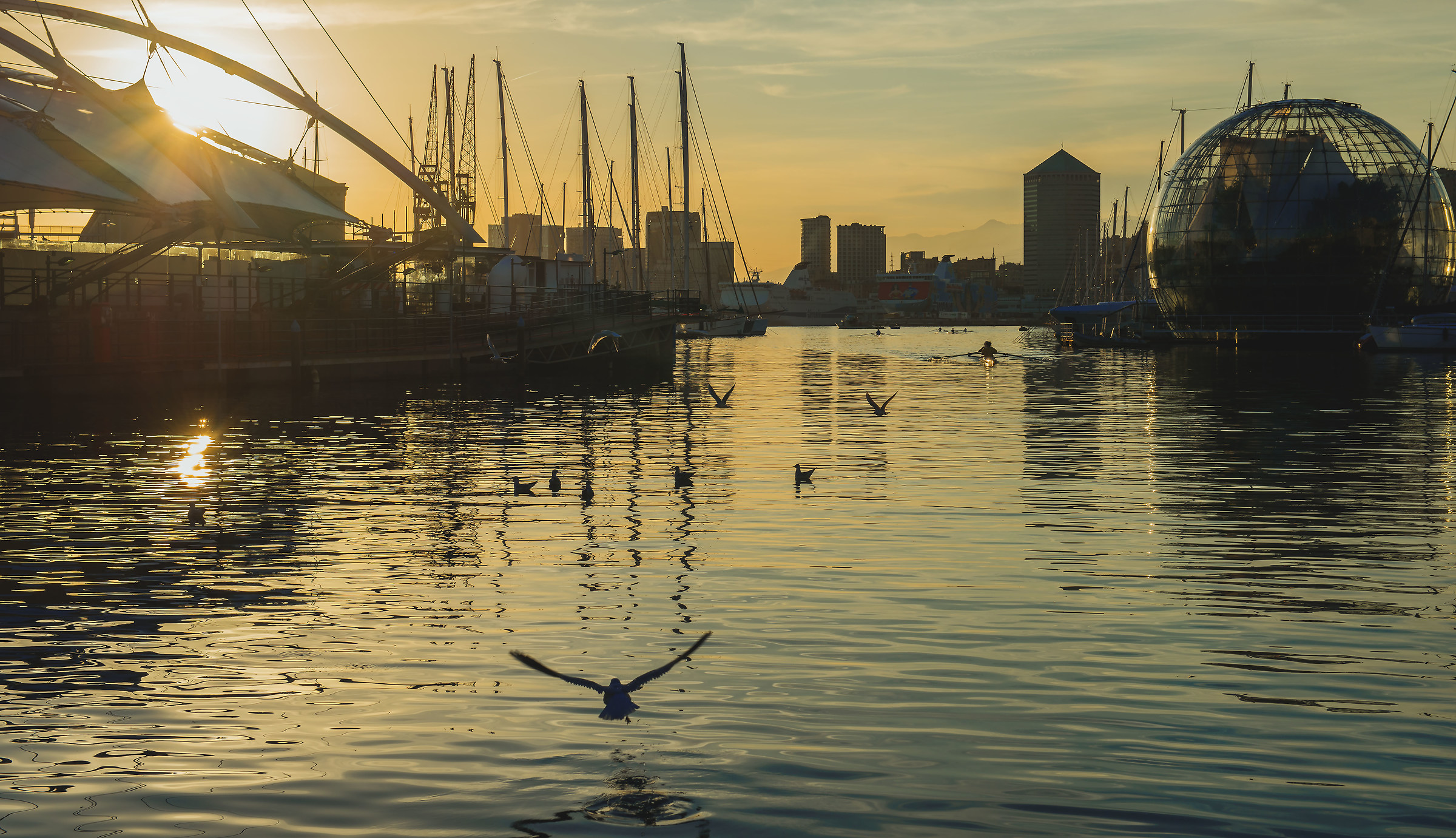 Flying to the sunset ....