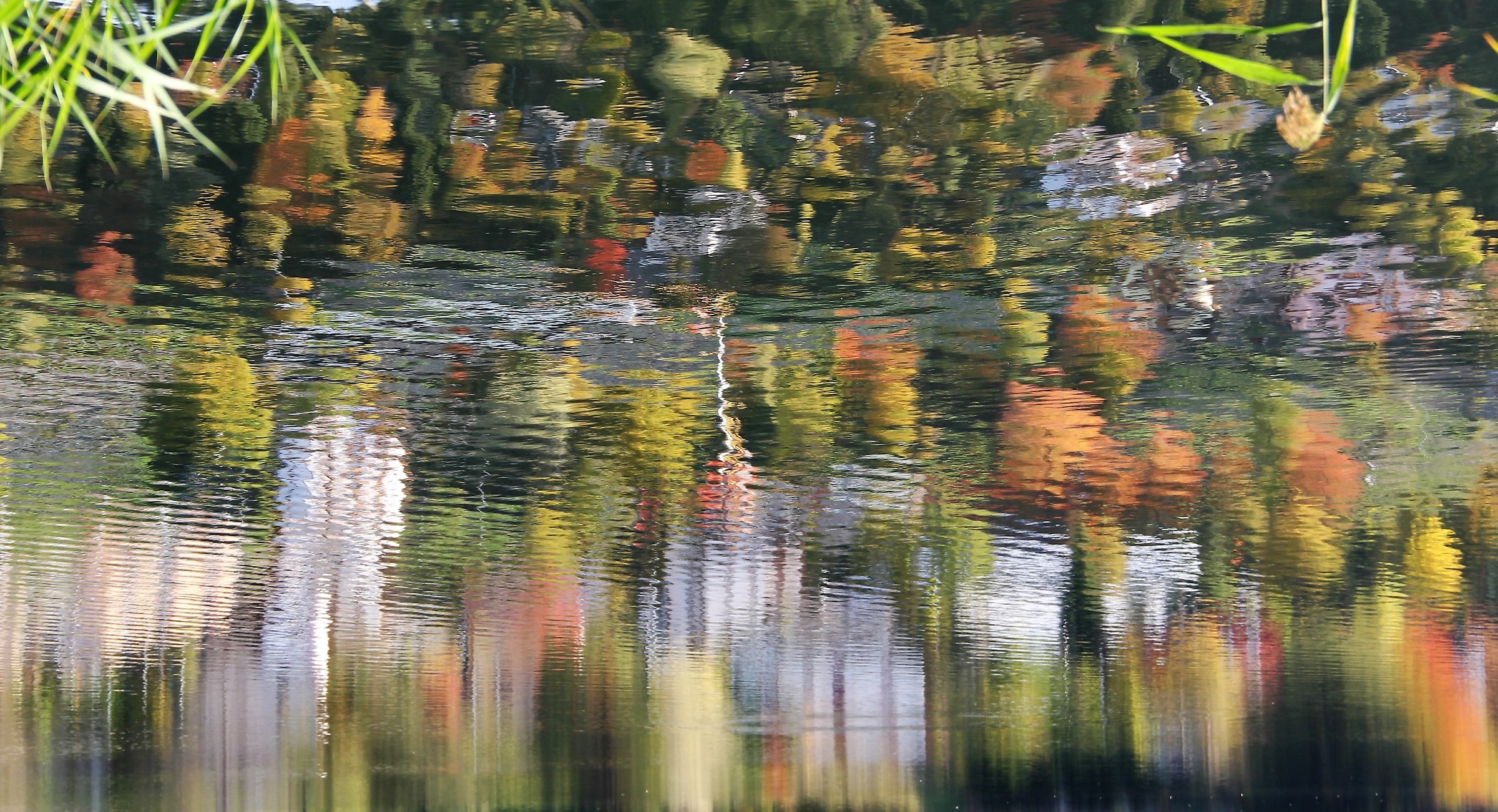 La reflex pensa di essere un pittore