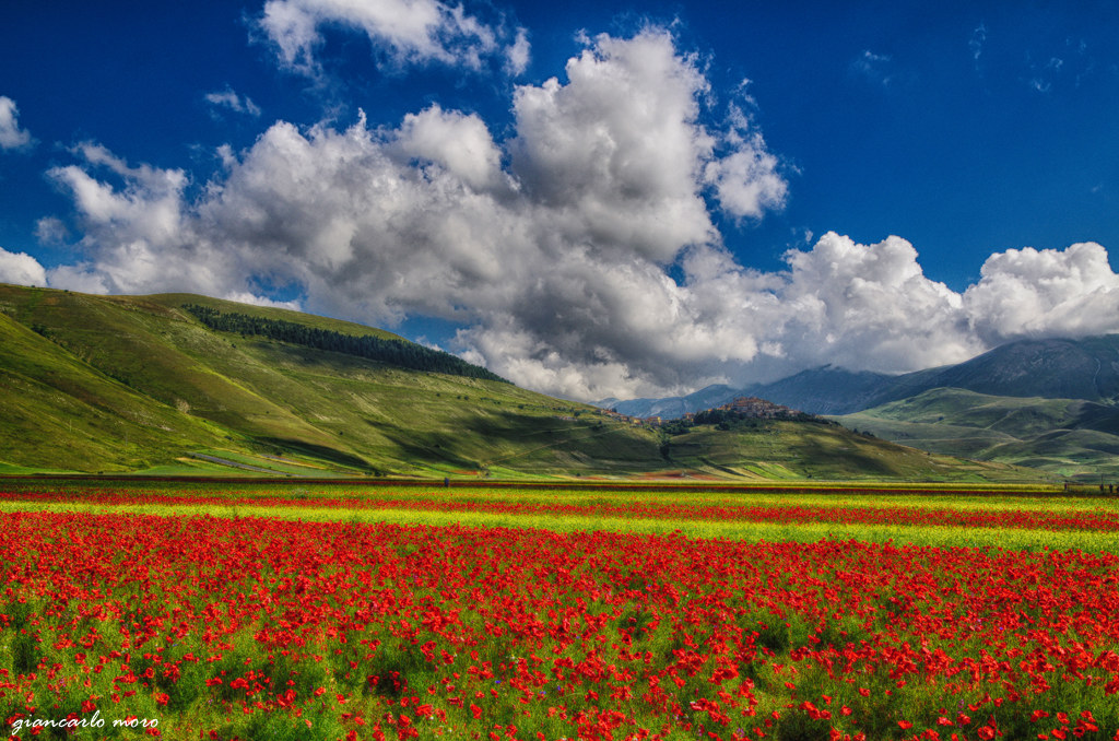 tuscany + landscapes