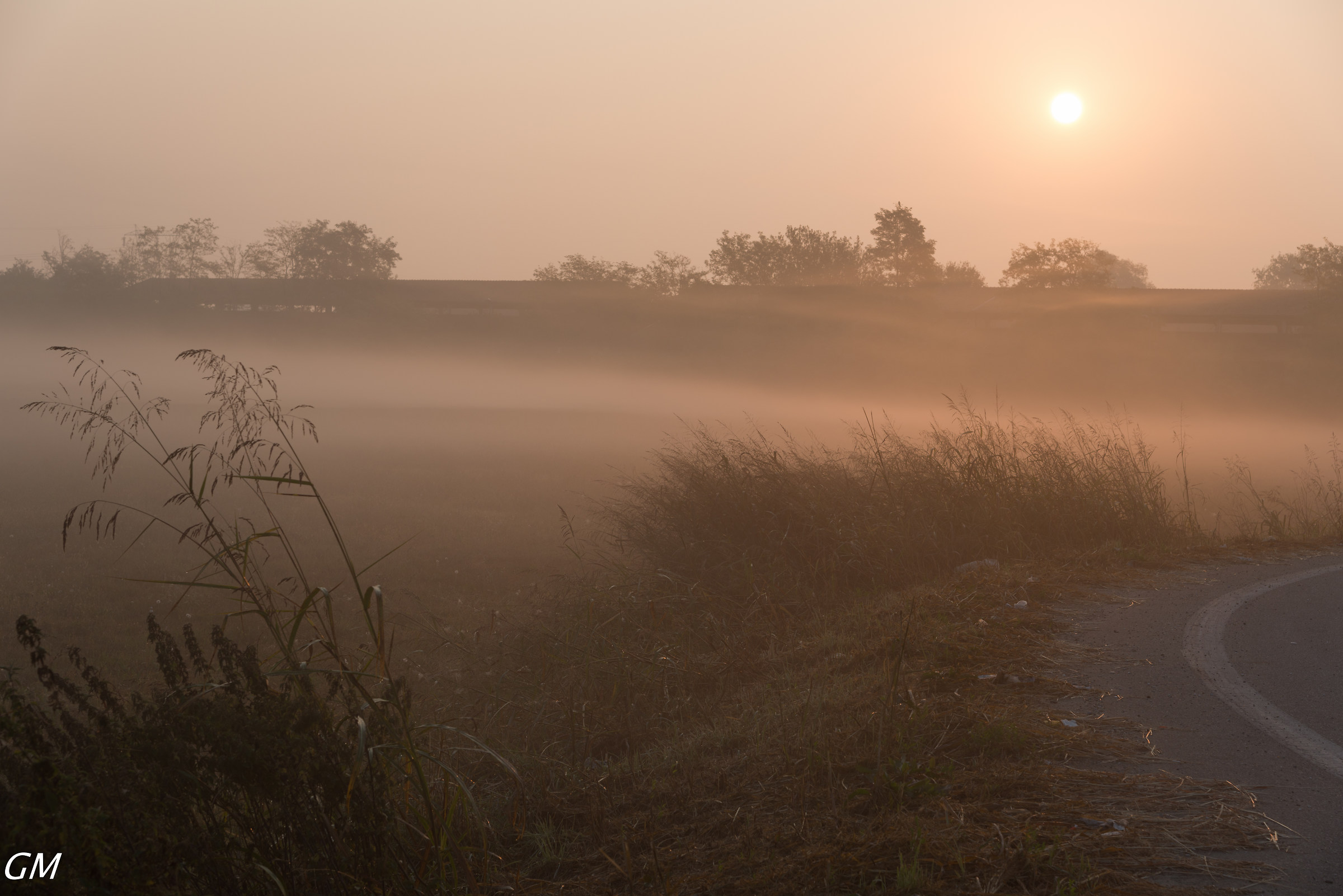 Dawn + Fog = Pastel Colors