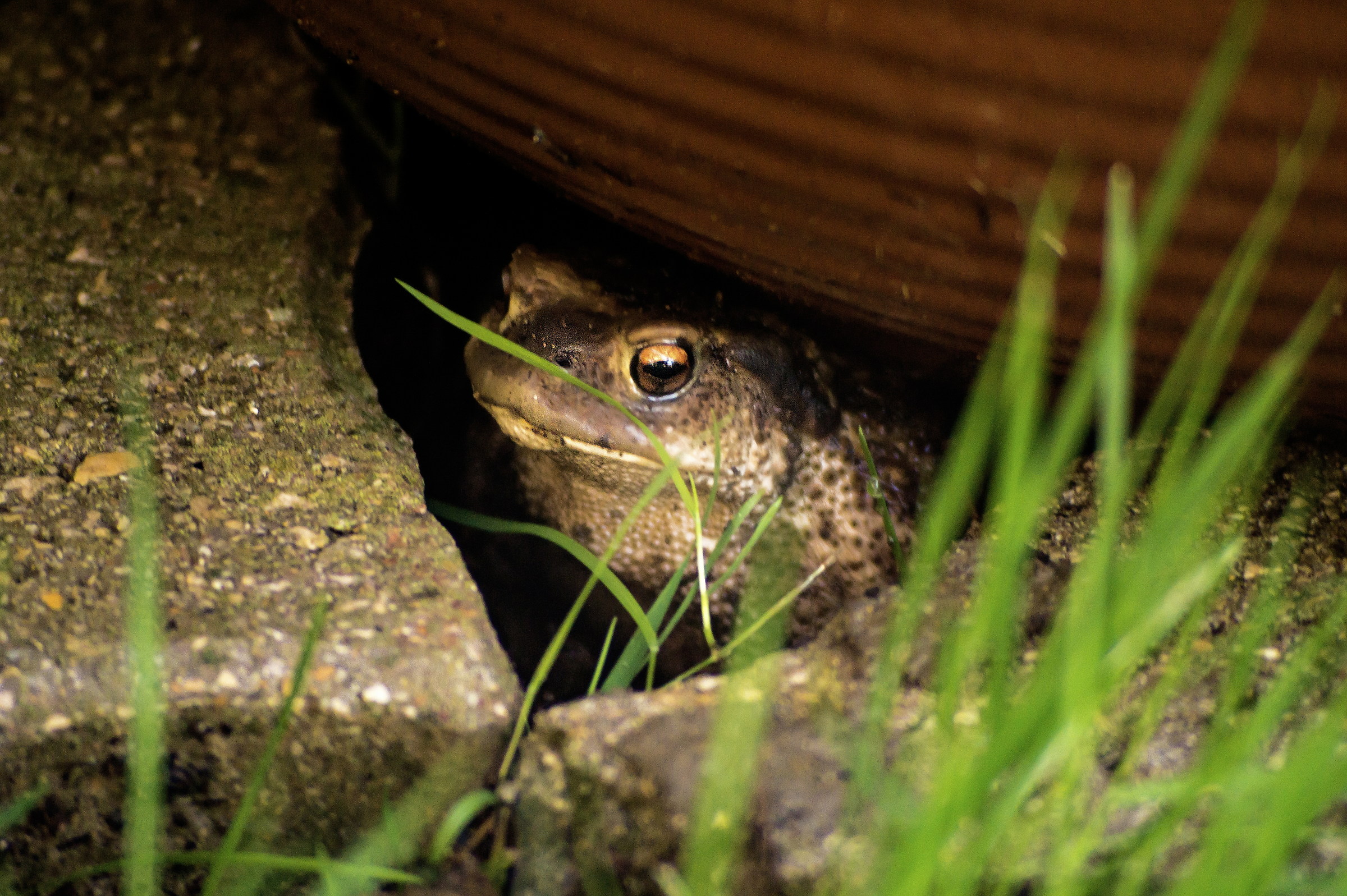Con quella faccia un po' così...