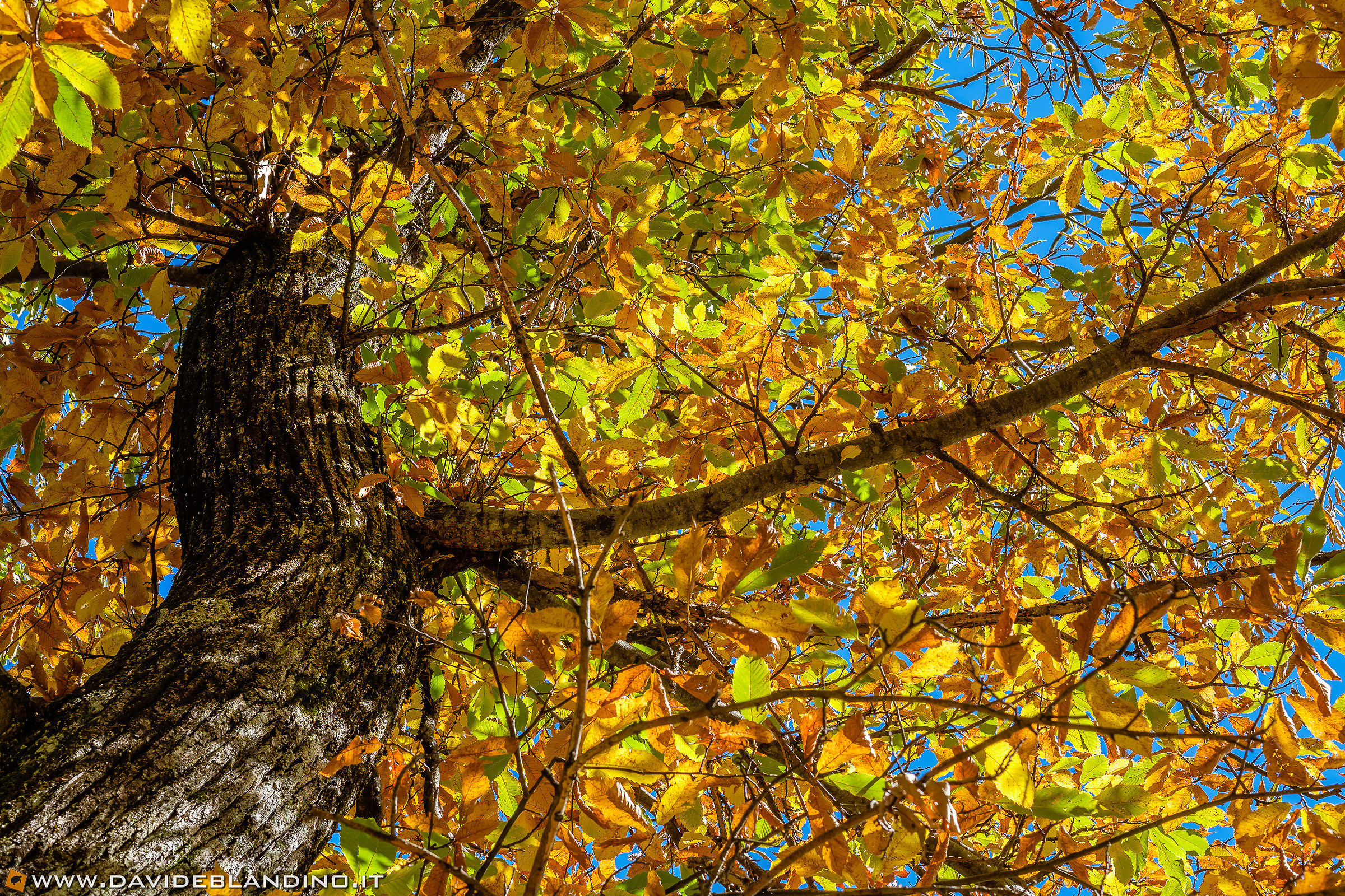 Colori per riscaldarsi