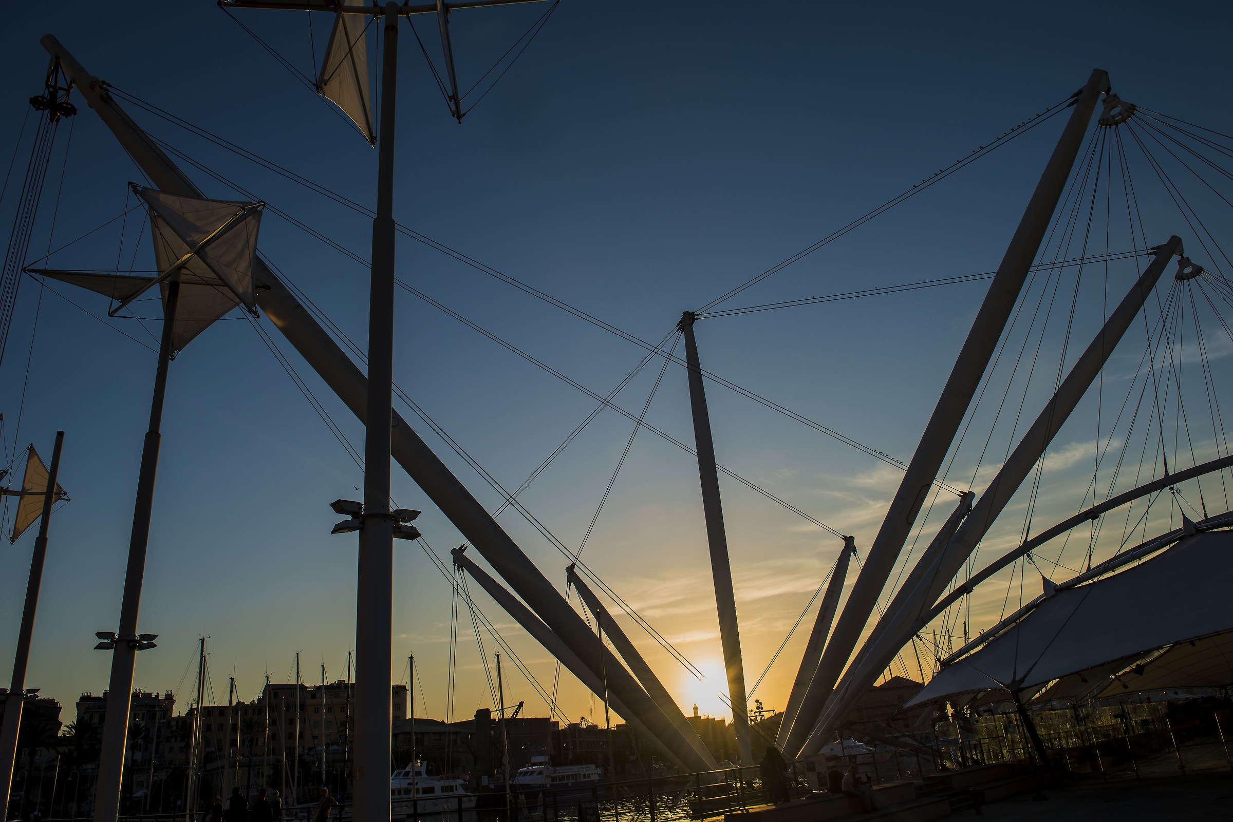 the sun between the lines ....