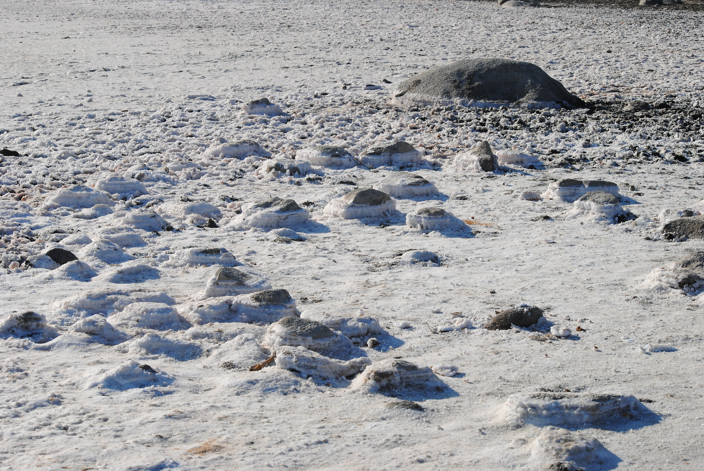 Stangioni de Su Sali