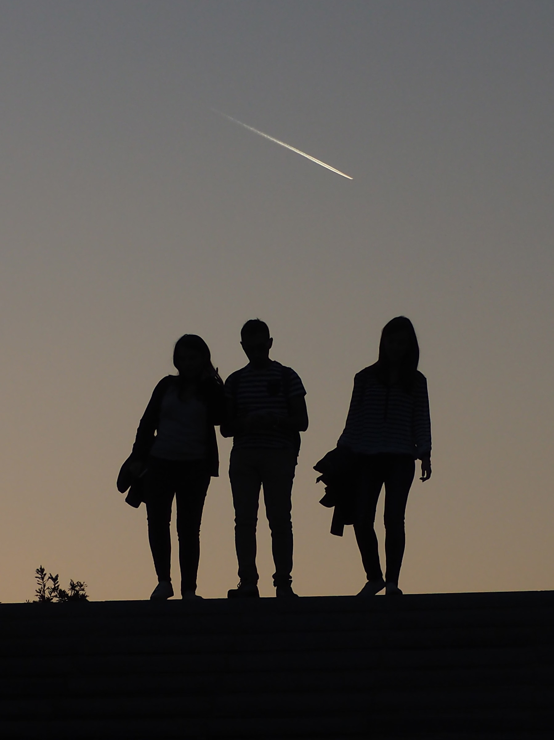 The silhouette is almost perfect