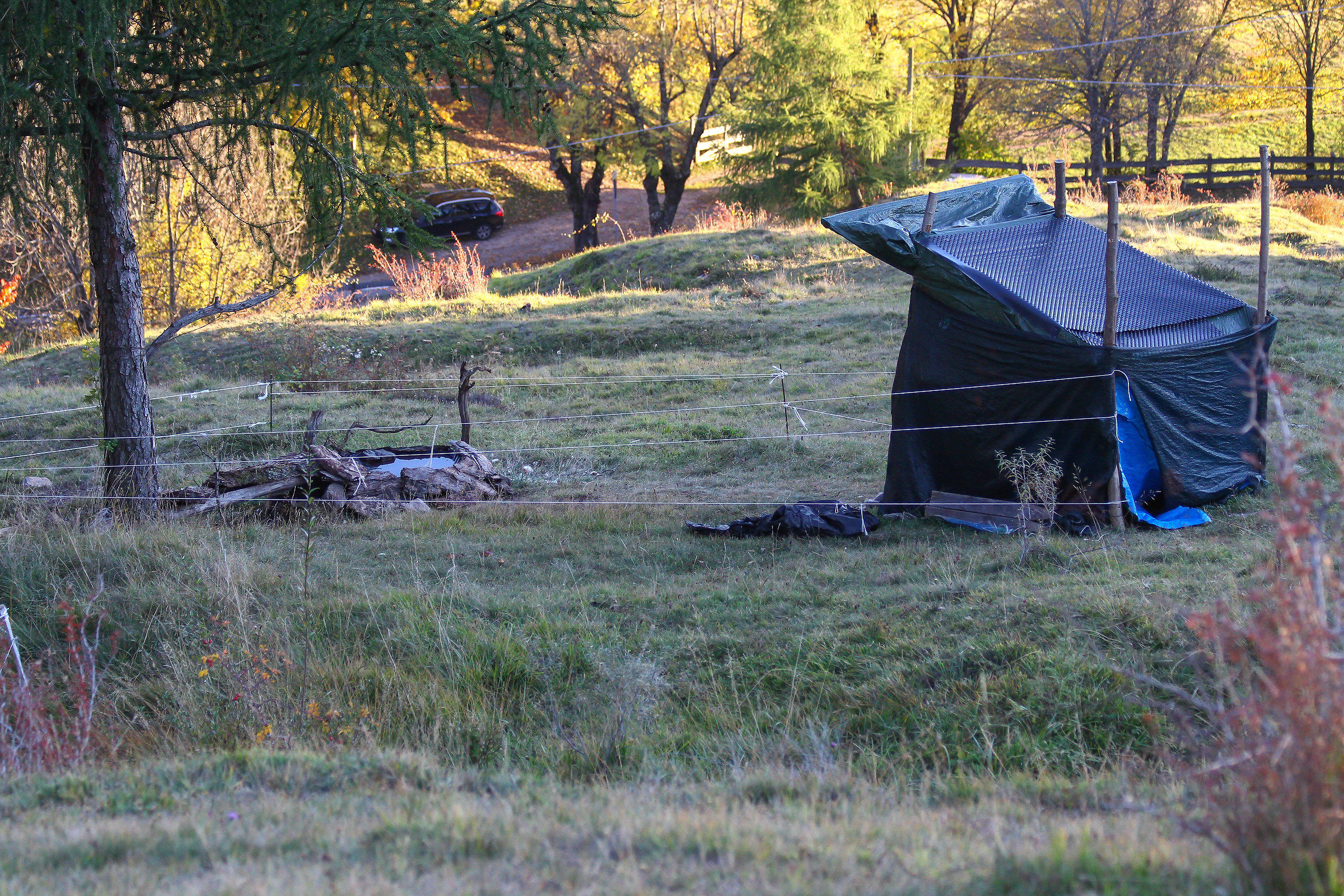 scusate .postato solo per mostrarlo ad un amico del for