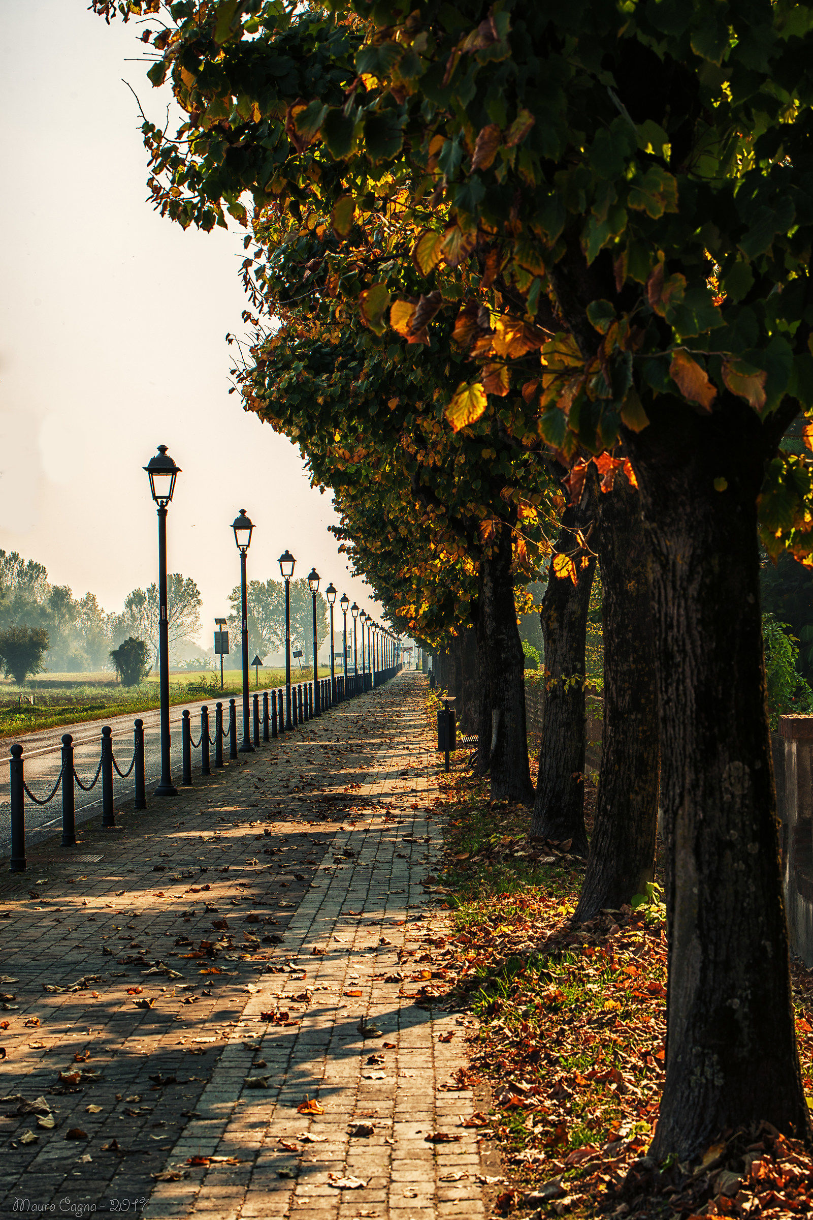 L'autunno che avanza..