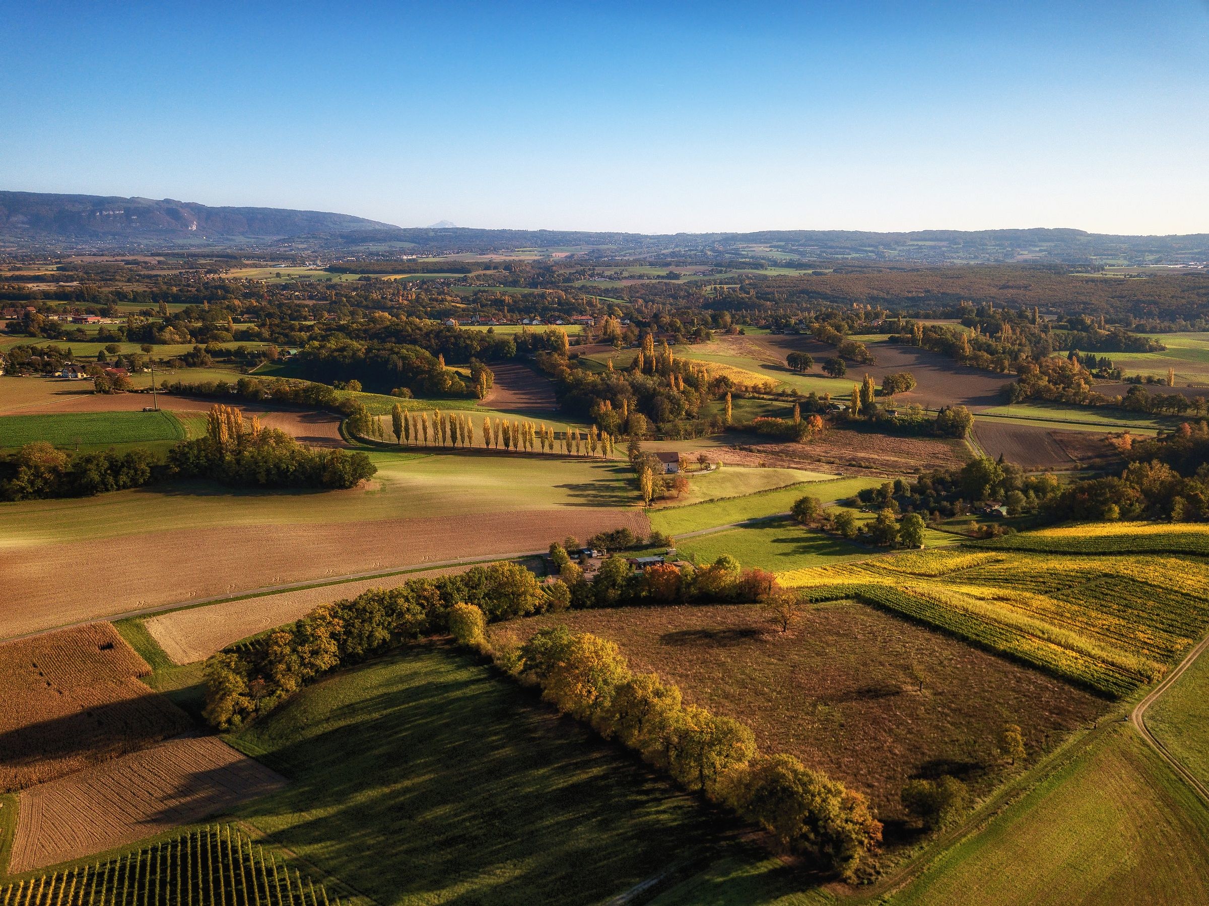 Peaceful vision of fall